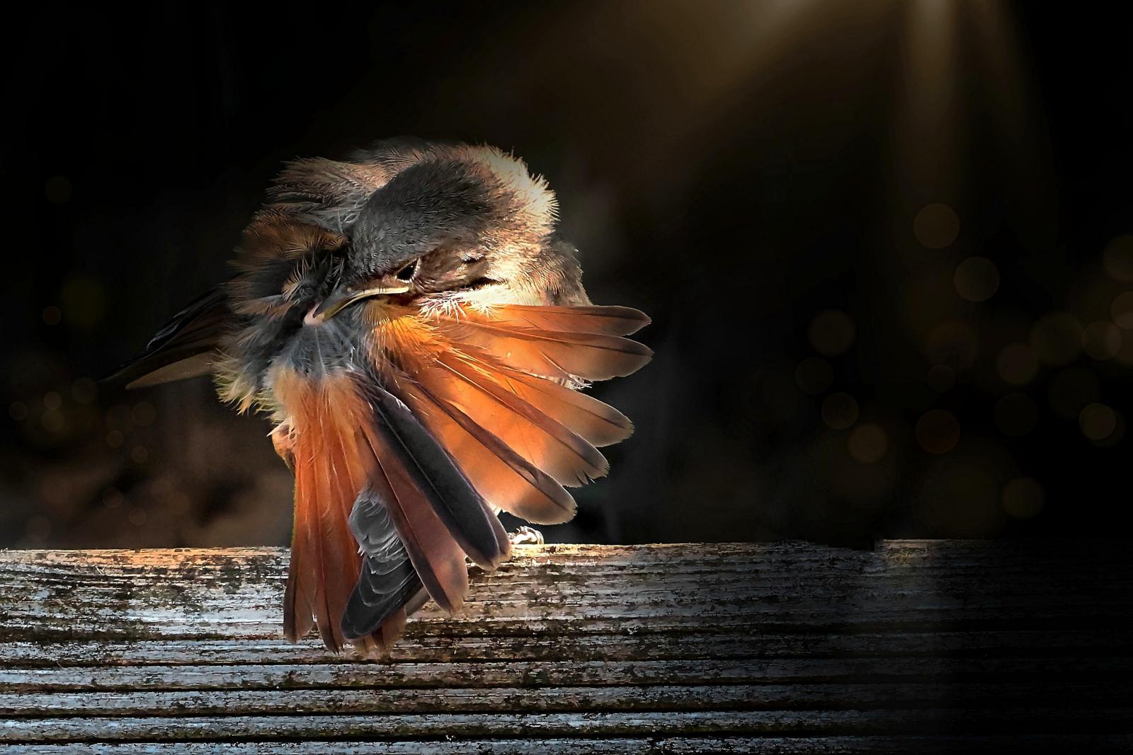 Photographie de Philippe Lombarde