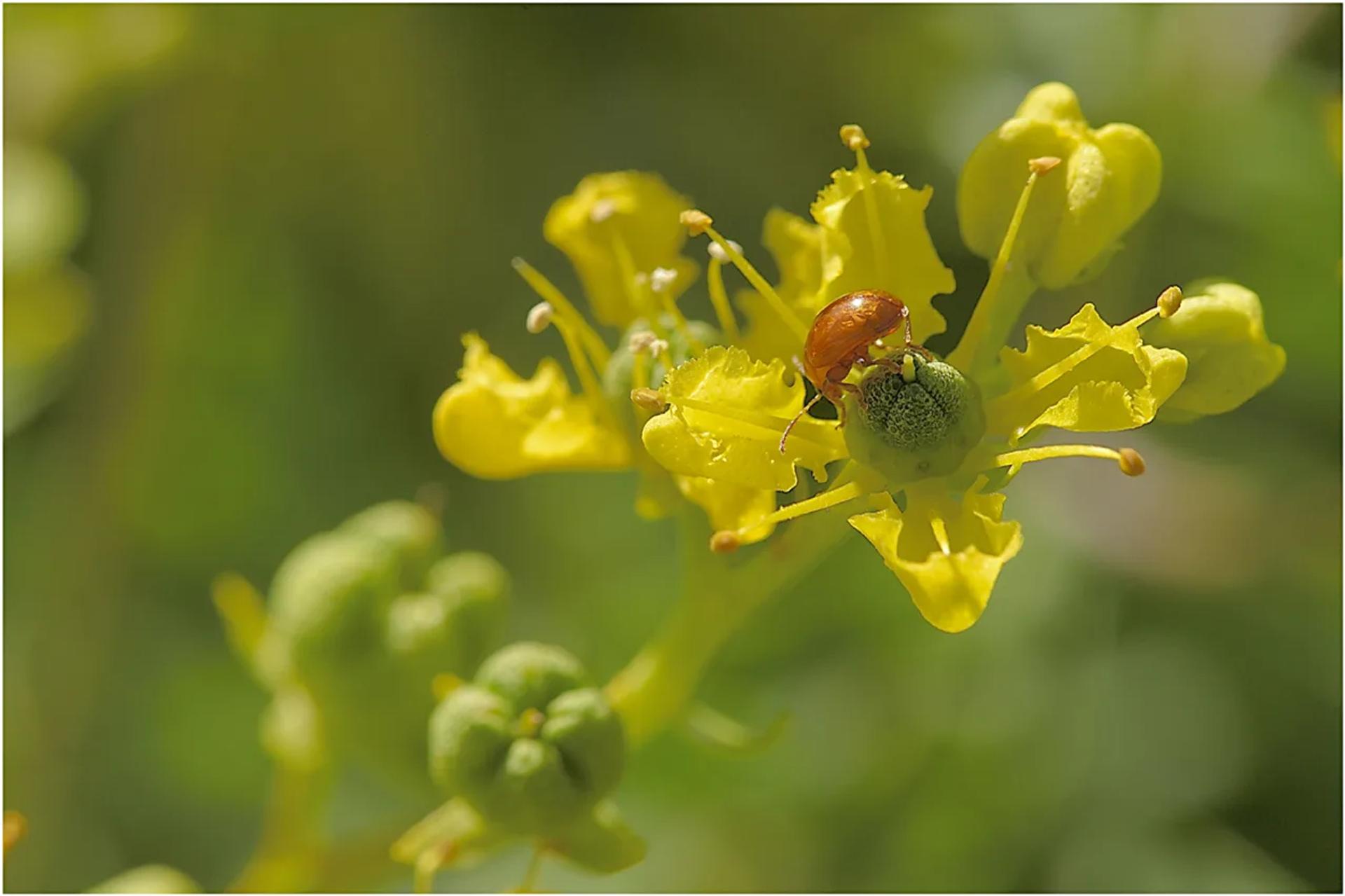 Photographie de Jean-Marie Airault (5)