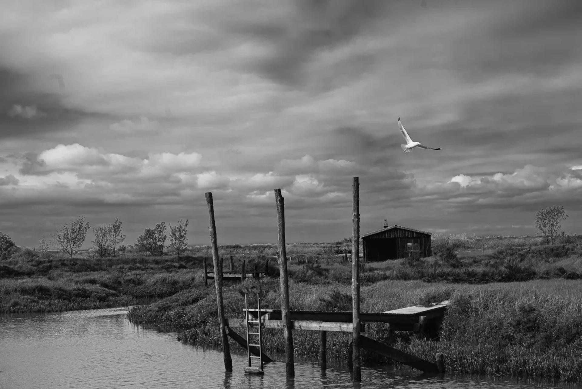 Photographie de Nicole Bureau (10)