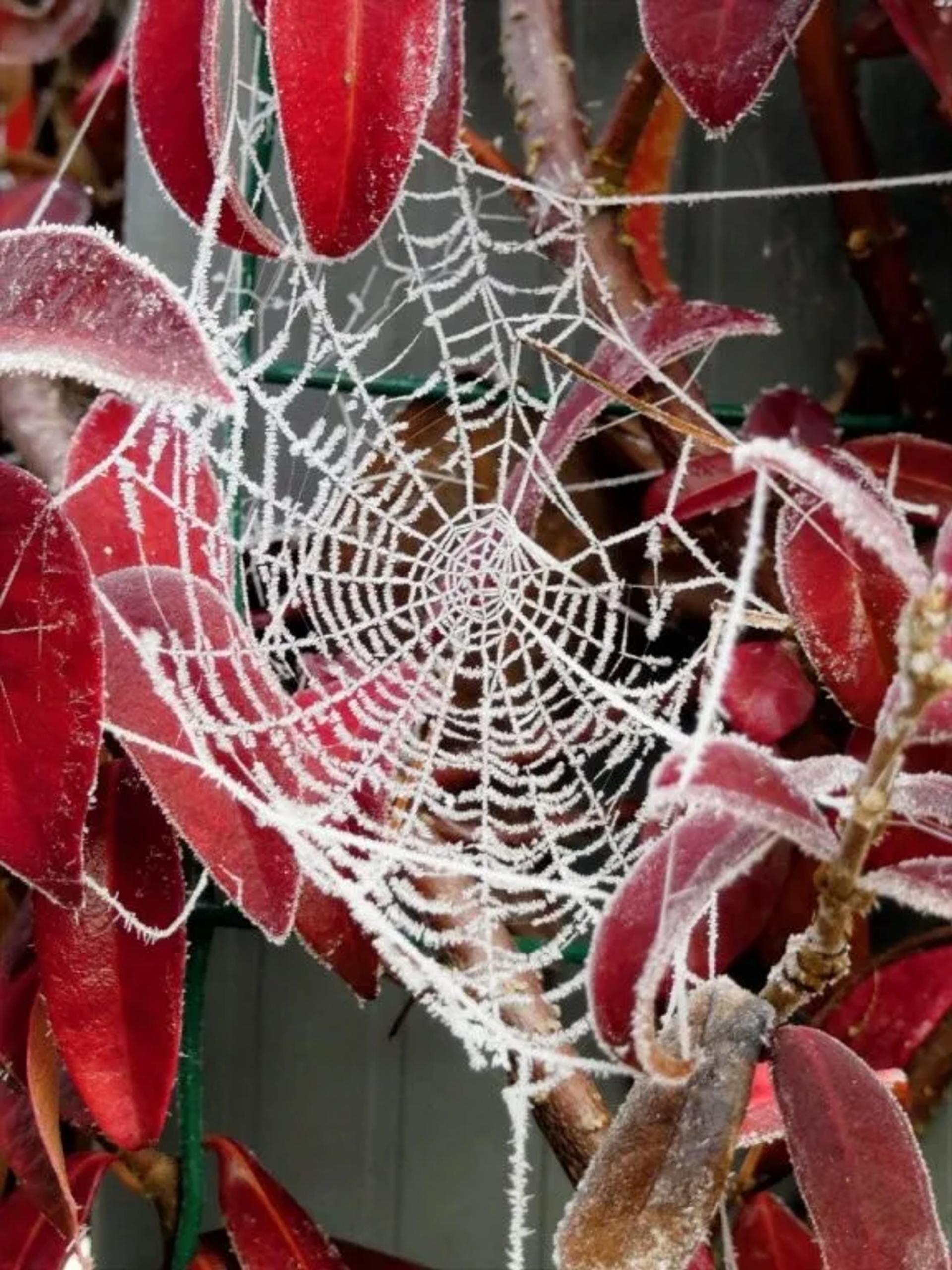 Photographie de Philippe Czeher (4)