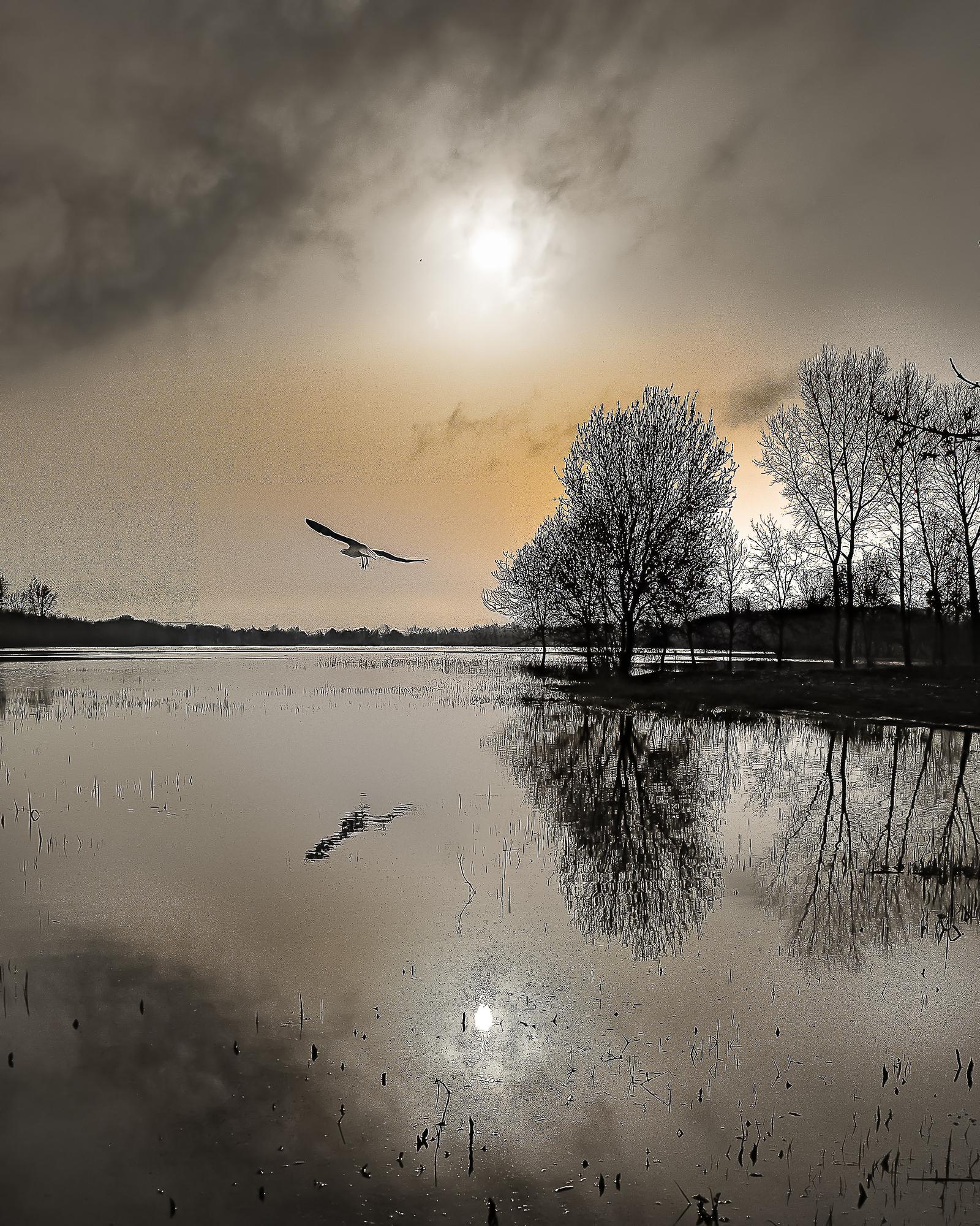 Photographie de Eric Desvergnes
