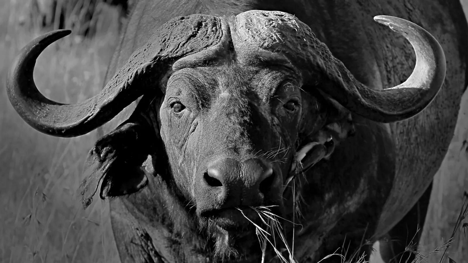 UR03 concours images projetées 2025 — photographie 31 (GPPR)