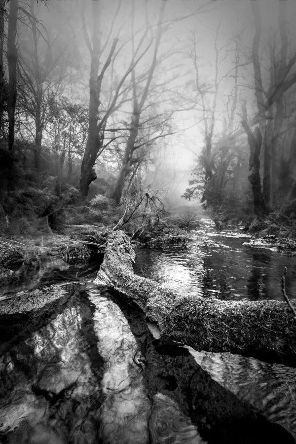UR03 concours papier 2026 — photographie 1 (GPPR)