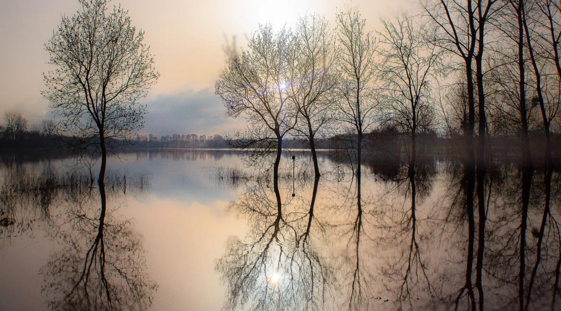 EXPOSITION "INTEMPÉRIES" — photographie 5 (GPPR)