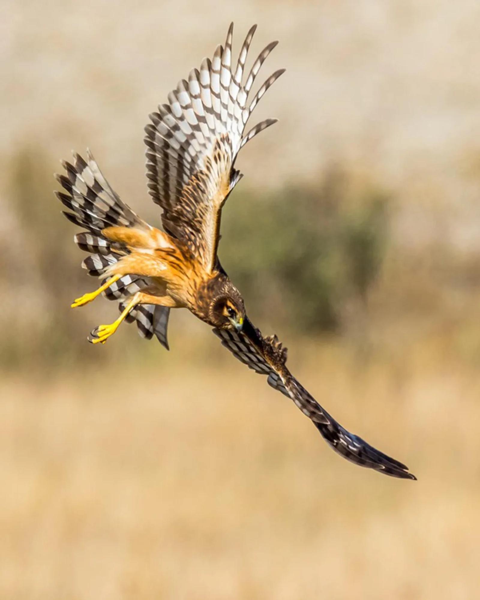 Photographie de Jean-Claude Fortor (3)