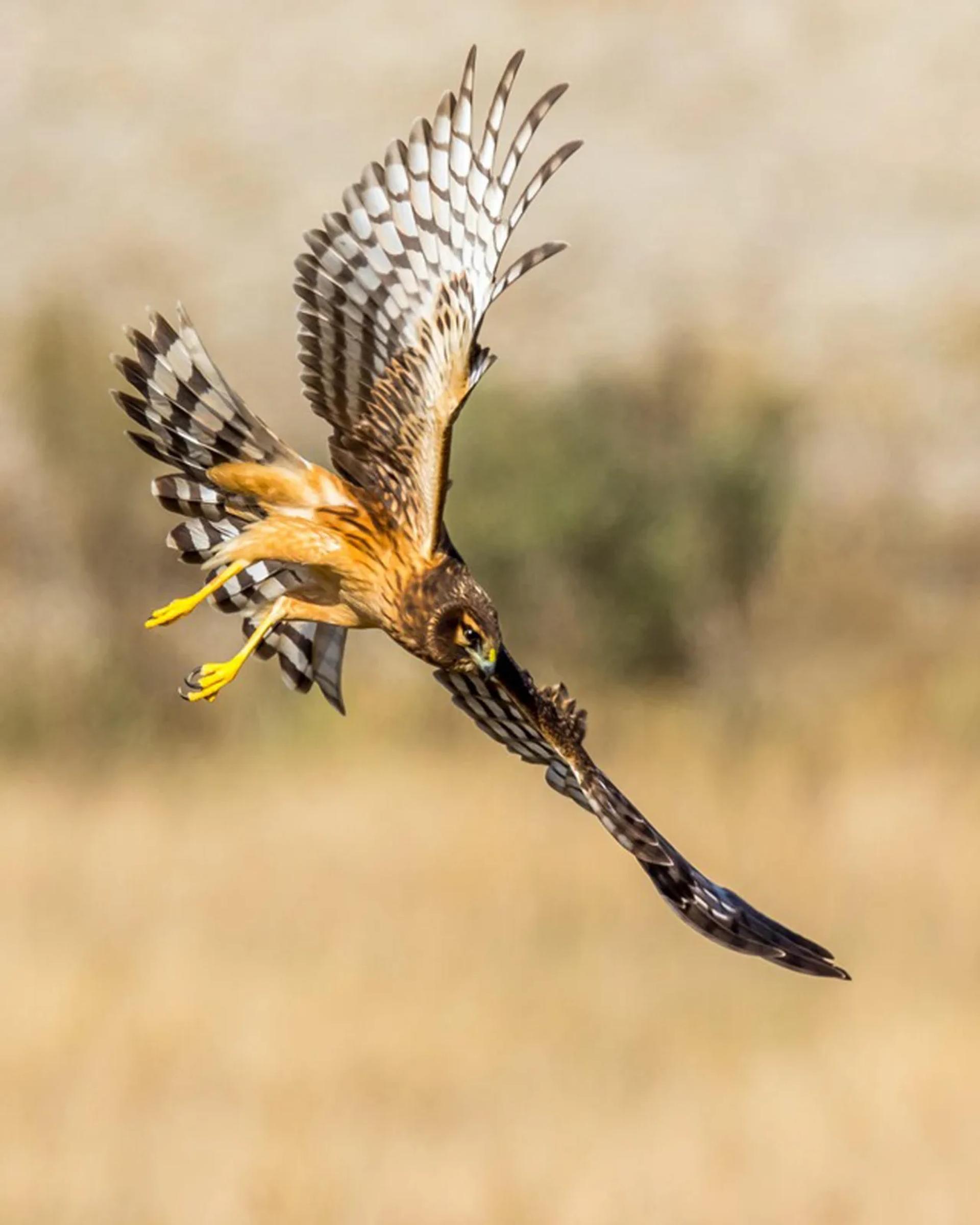 Photographie de Jean-Claude Fortor (3)