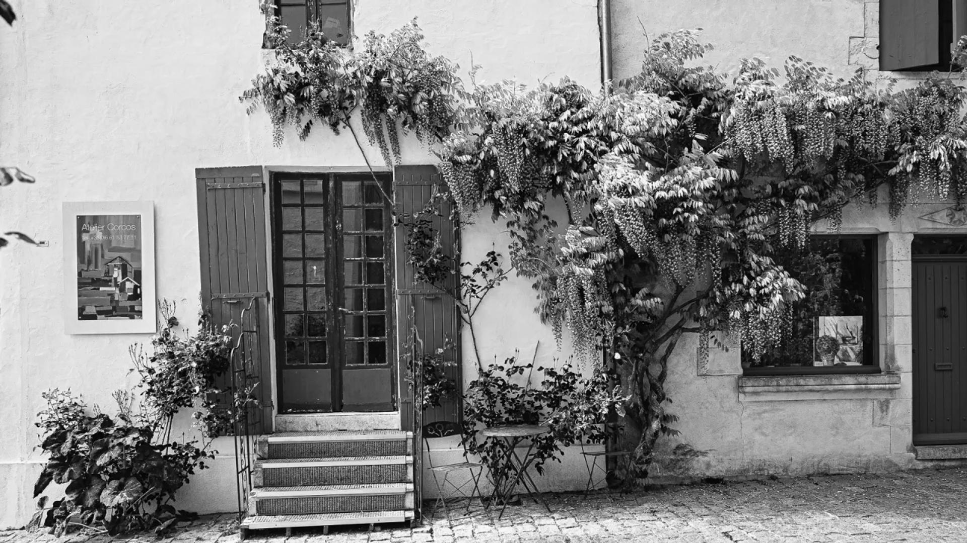 Photographie de Nicole Bureau (4)