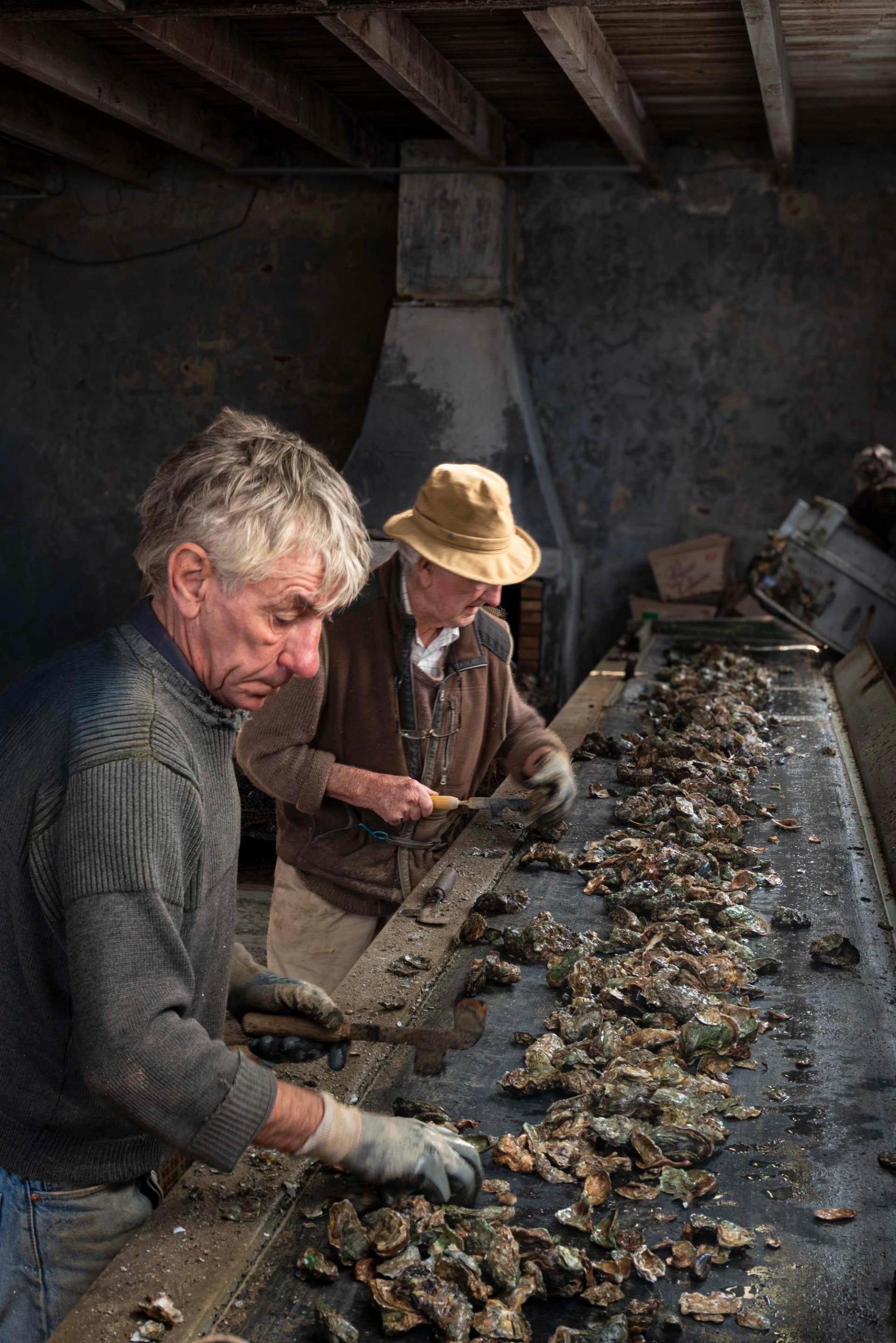 Artisans-commerçants de Royan
