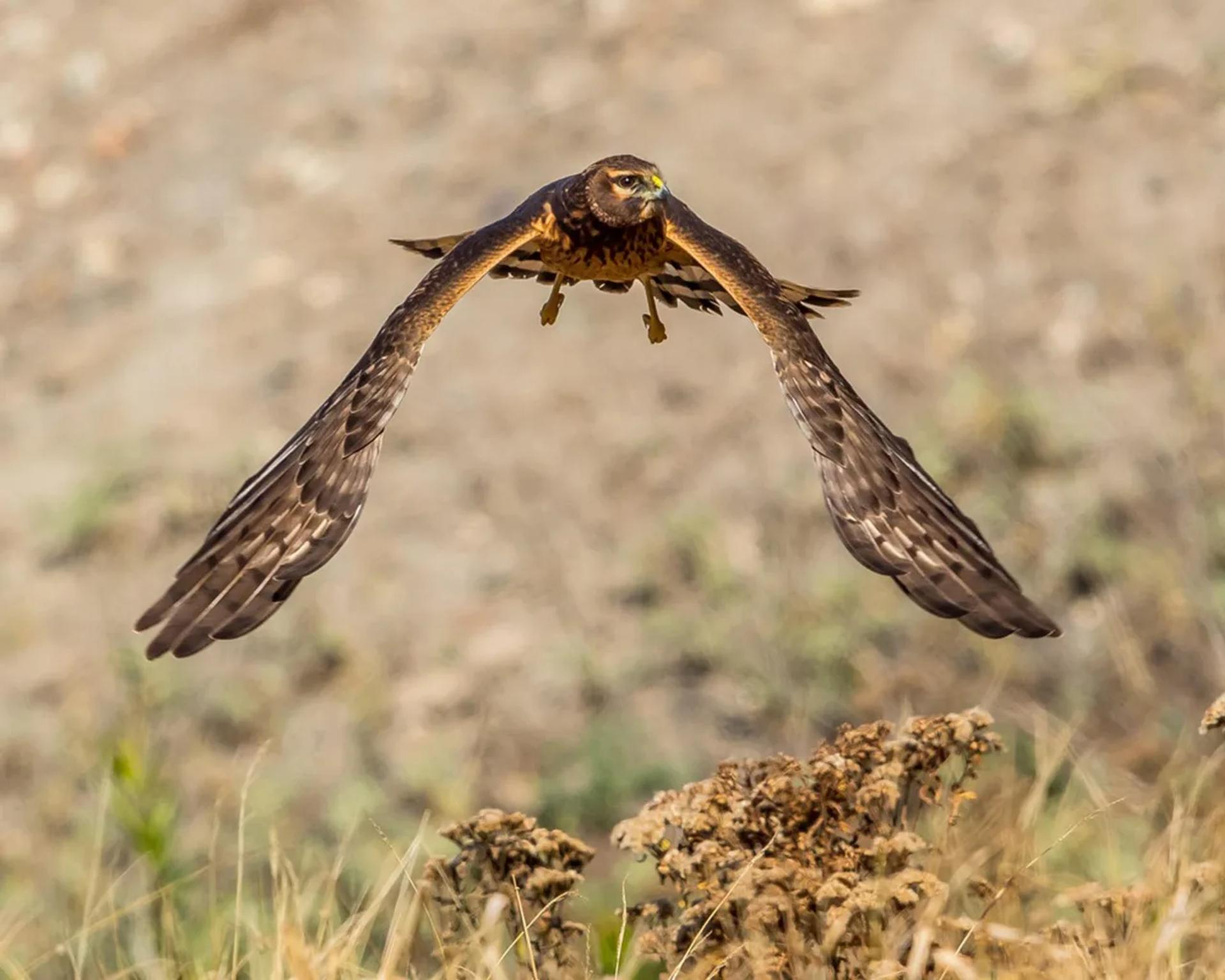 Photographie de Jean-Claude Fortor (8)