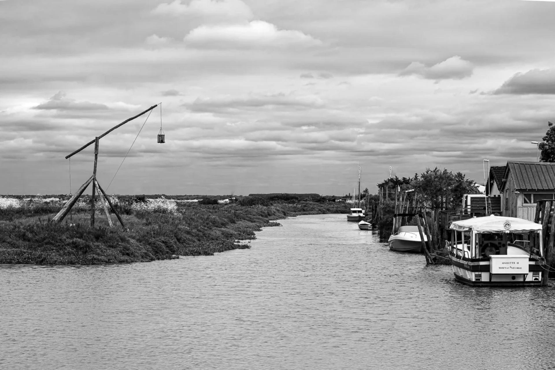 Photographie de Nicole Bureau (2)