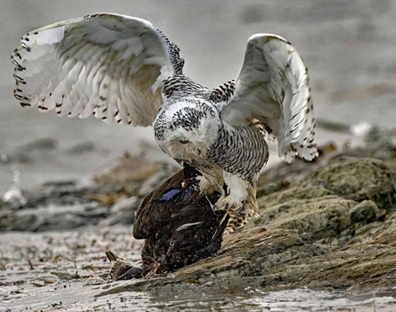 Photographie de Jean-Claude Fortor (6)