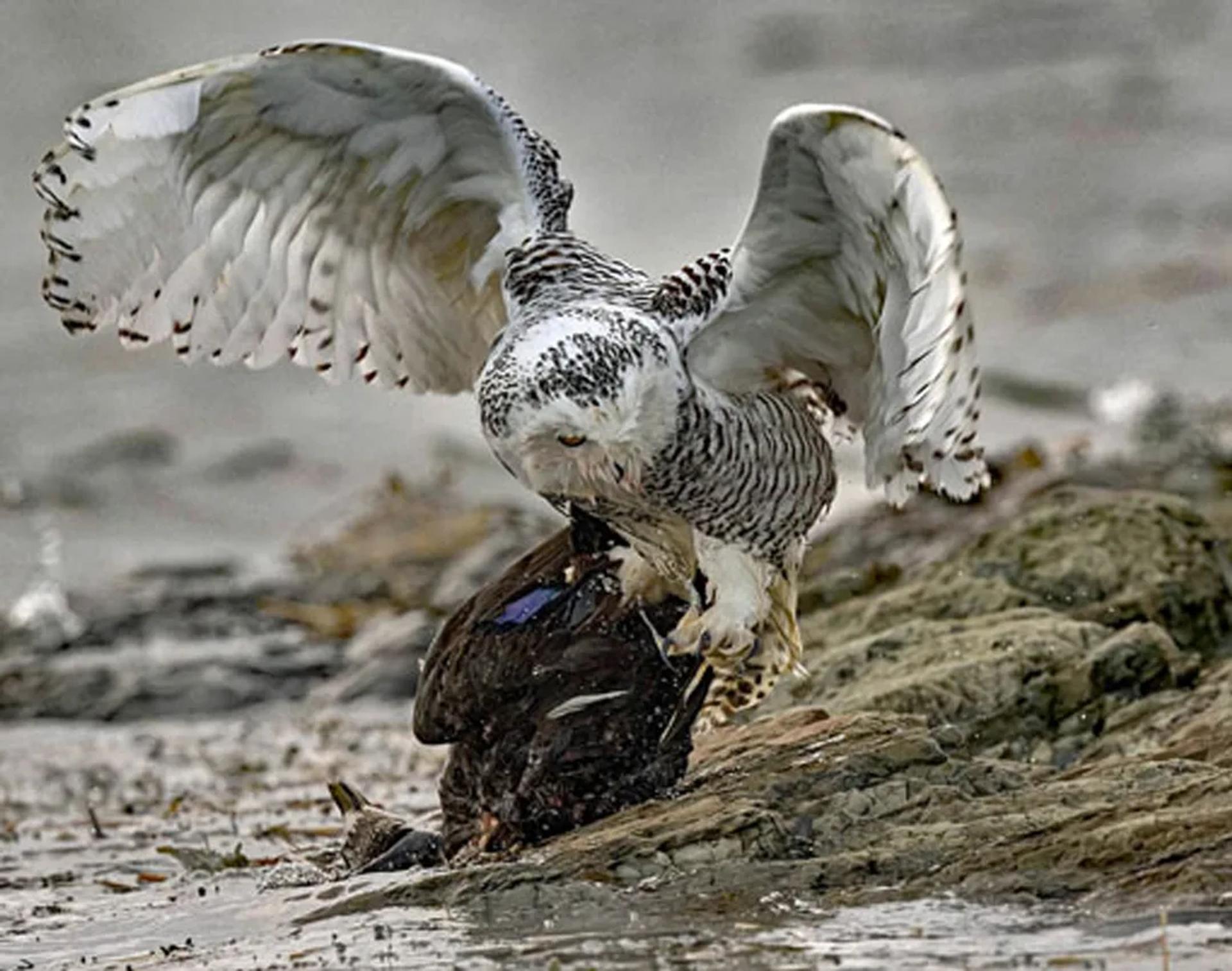 Photographie de Jean-Claude Fortor (6)