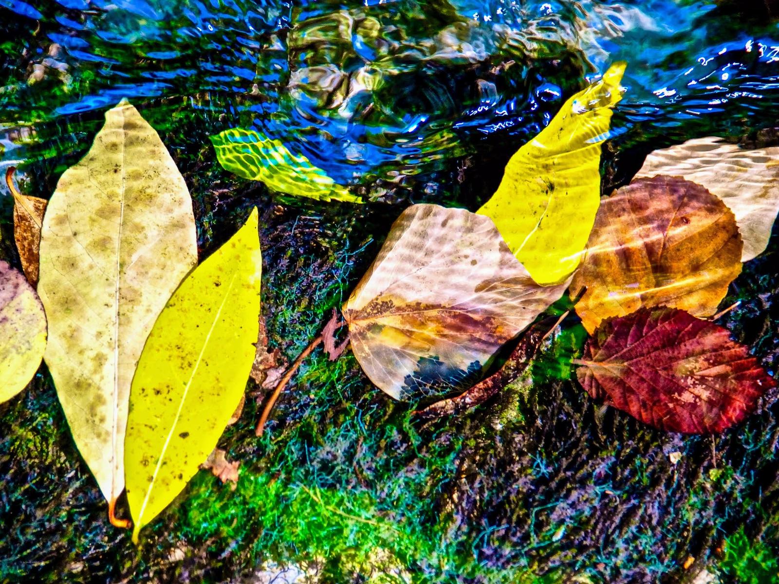 Photographie de Jean-Bernard Augier