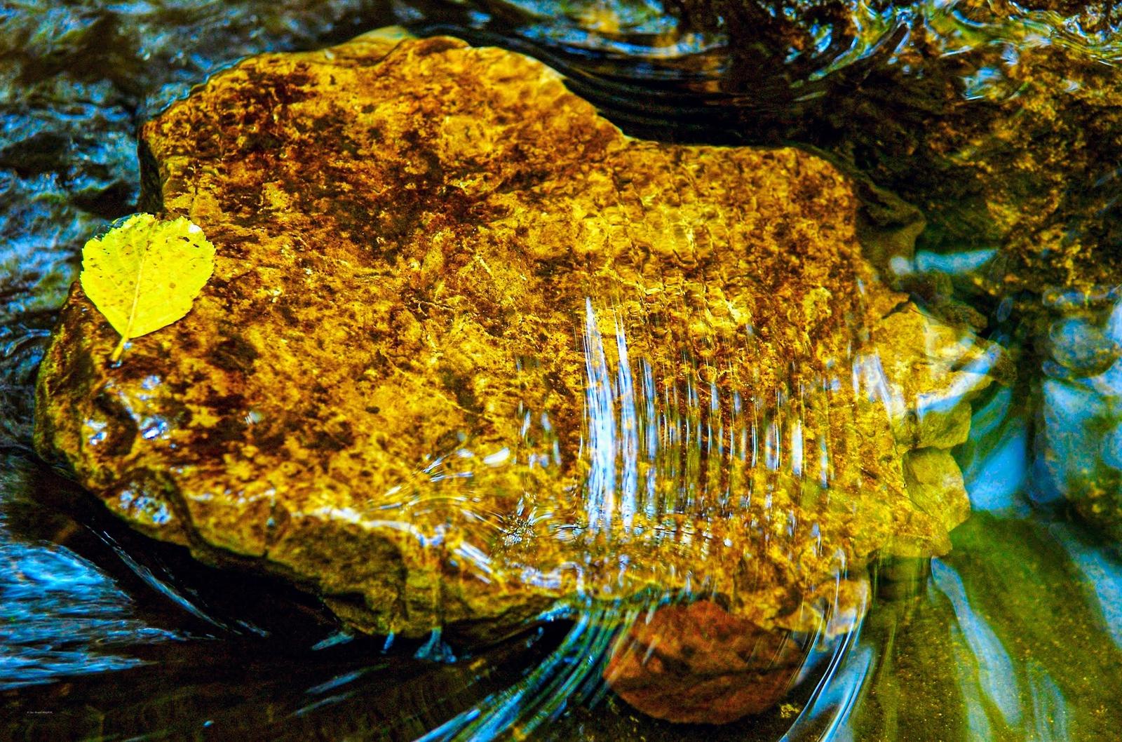 Photographie de Jean-Bernard Augier