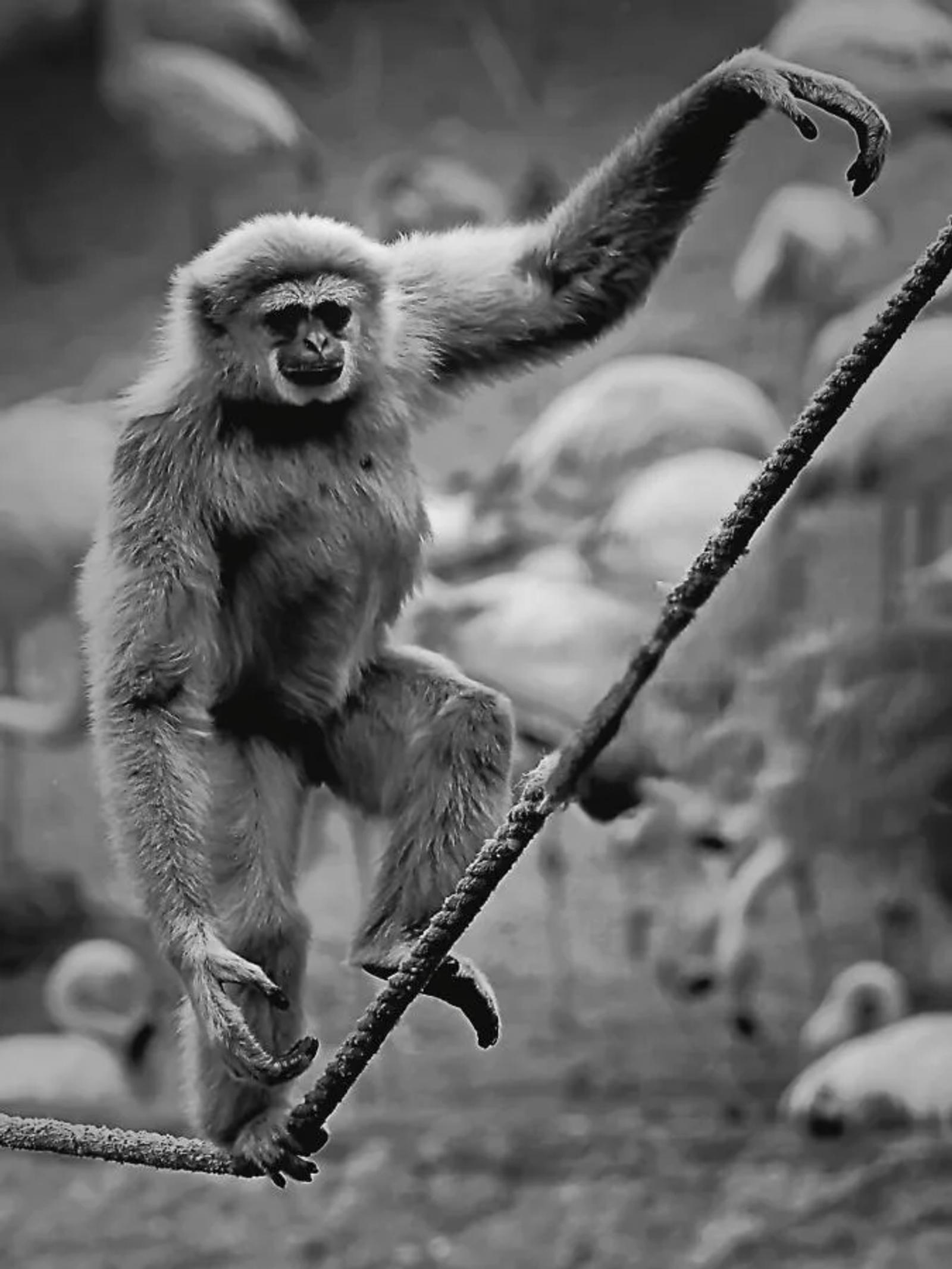 FPF Challenge n°1 Equilibre — photographie 4 (GPPR)