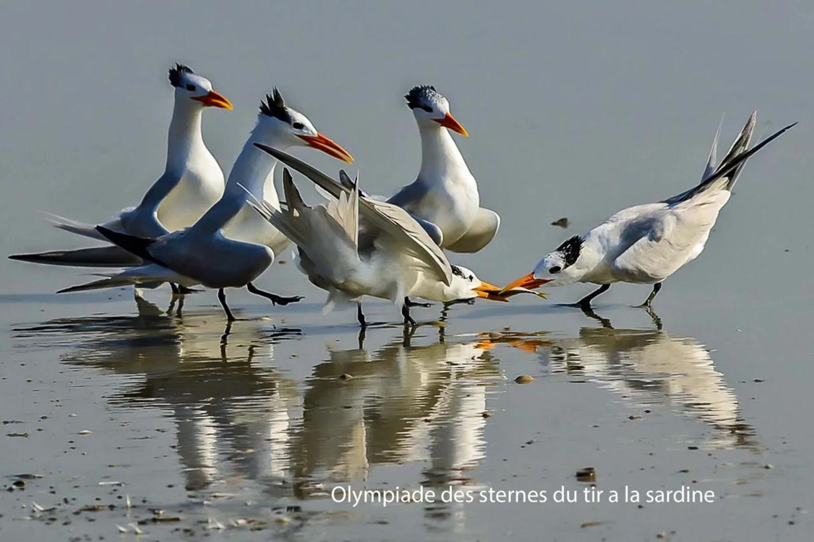 Photographie de Jean-Claude Fortor (1)