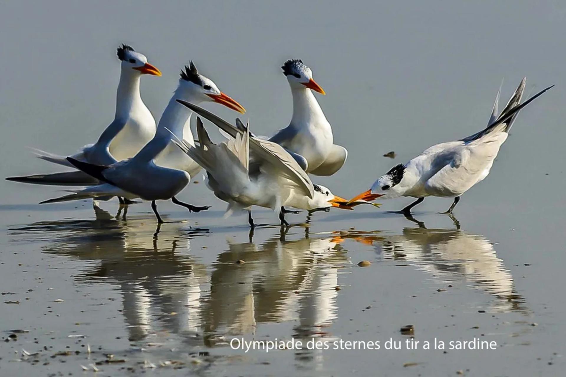Photographie de Jean-Claude Fortor (1)