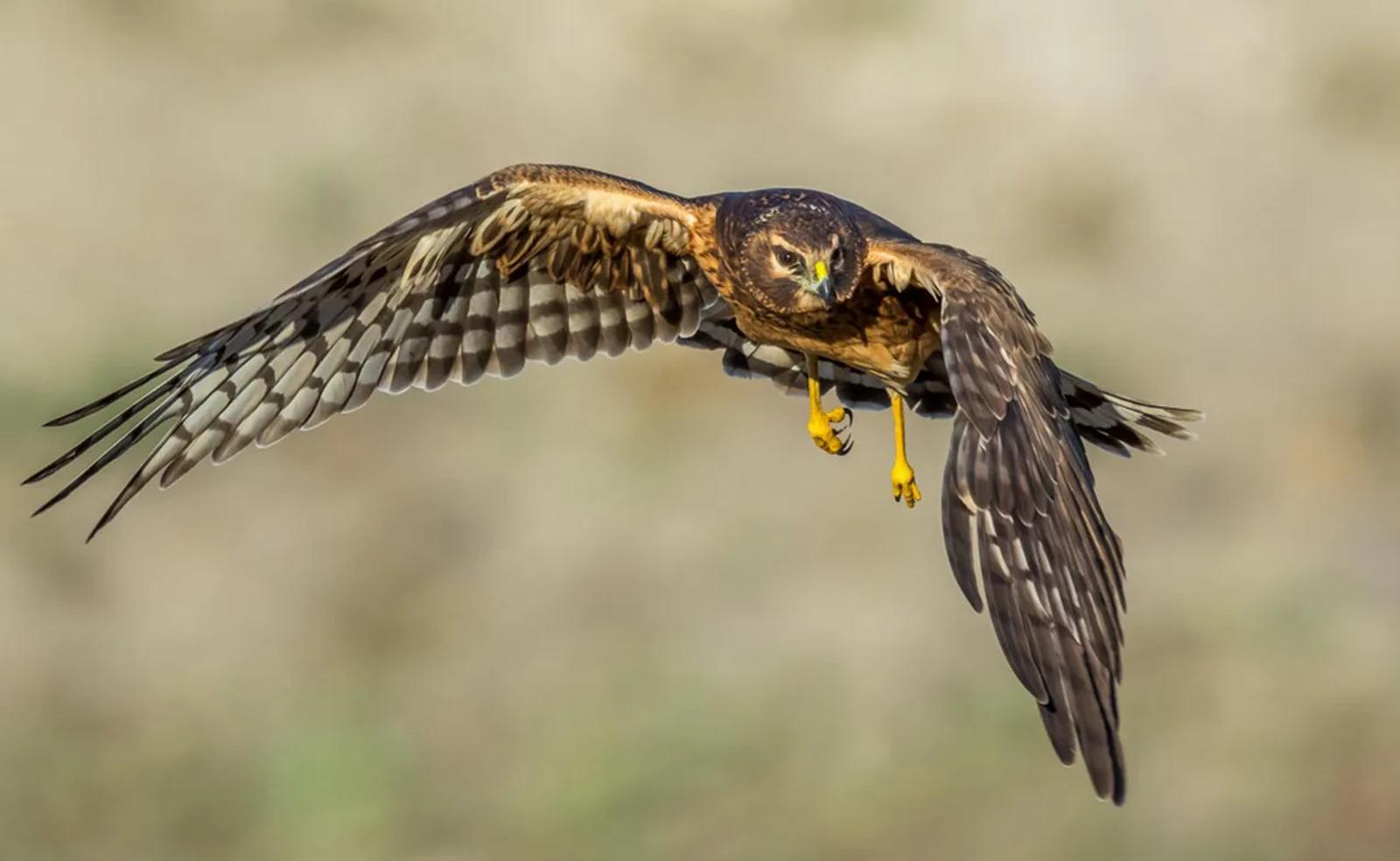 Photographie de Jean-Claude Fortor (1)