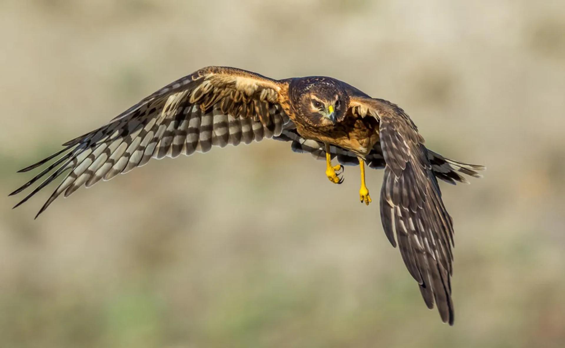 Photographie de Jean-Claude Fortor (1)