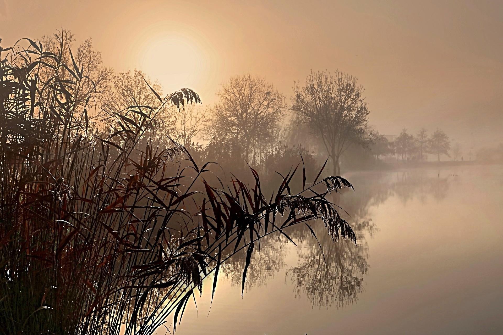Brume matinale 