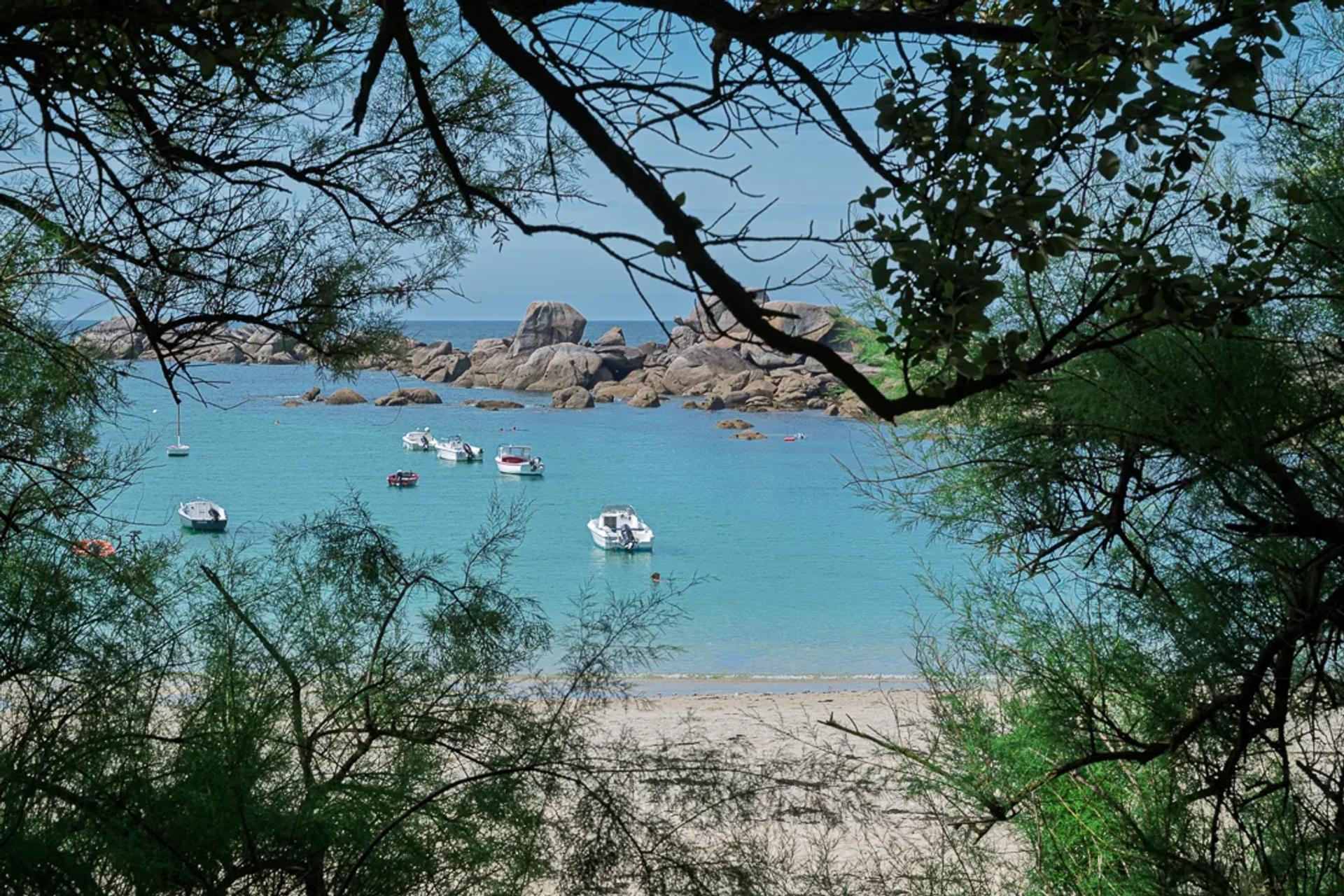 Photographie de Nicole Bureau (7)