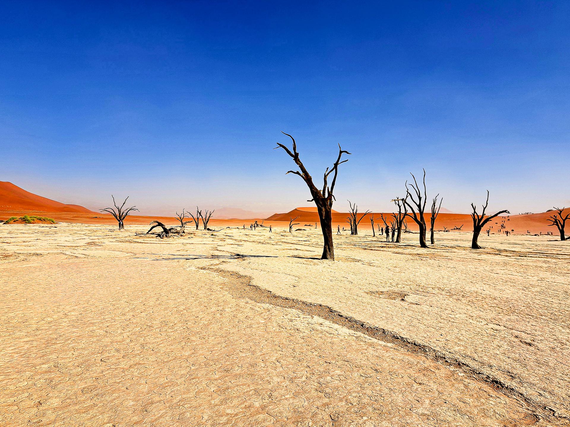 Regards sur la Namibie