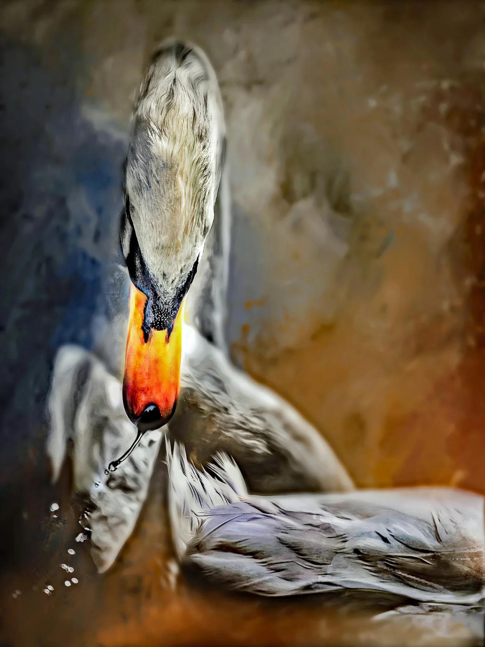 GRAP : concours papier 2025 — photographie 14 (GPPR)