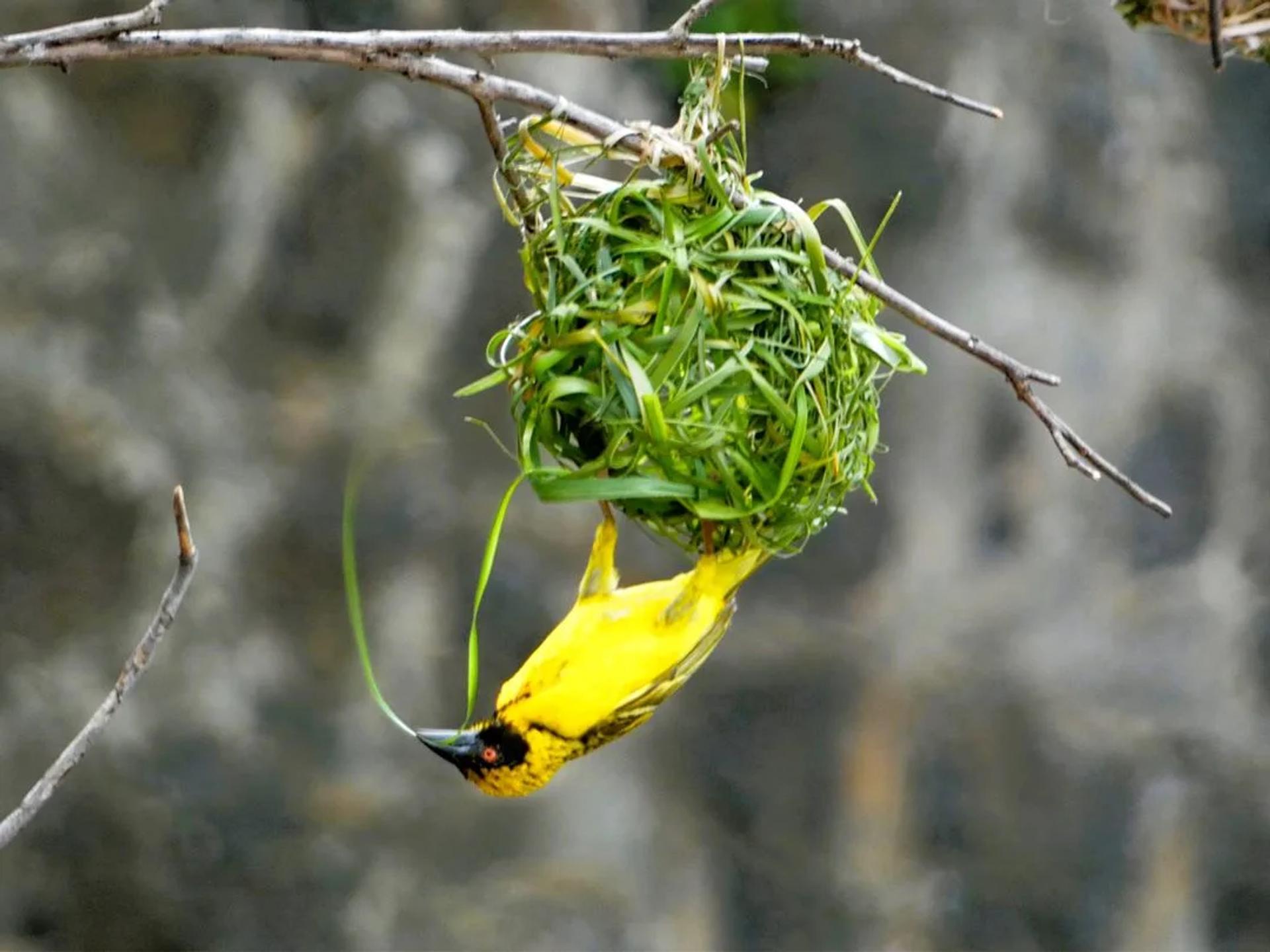 Photographie de Philippe Czeher (6)