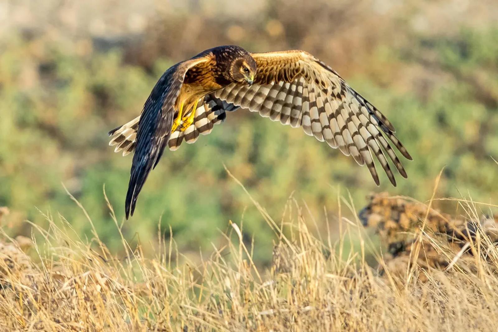 Photographie de Jean-Claude Fortor (6)