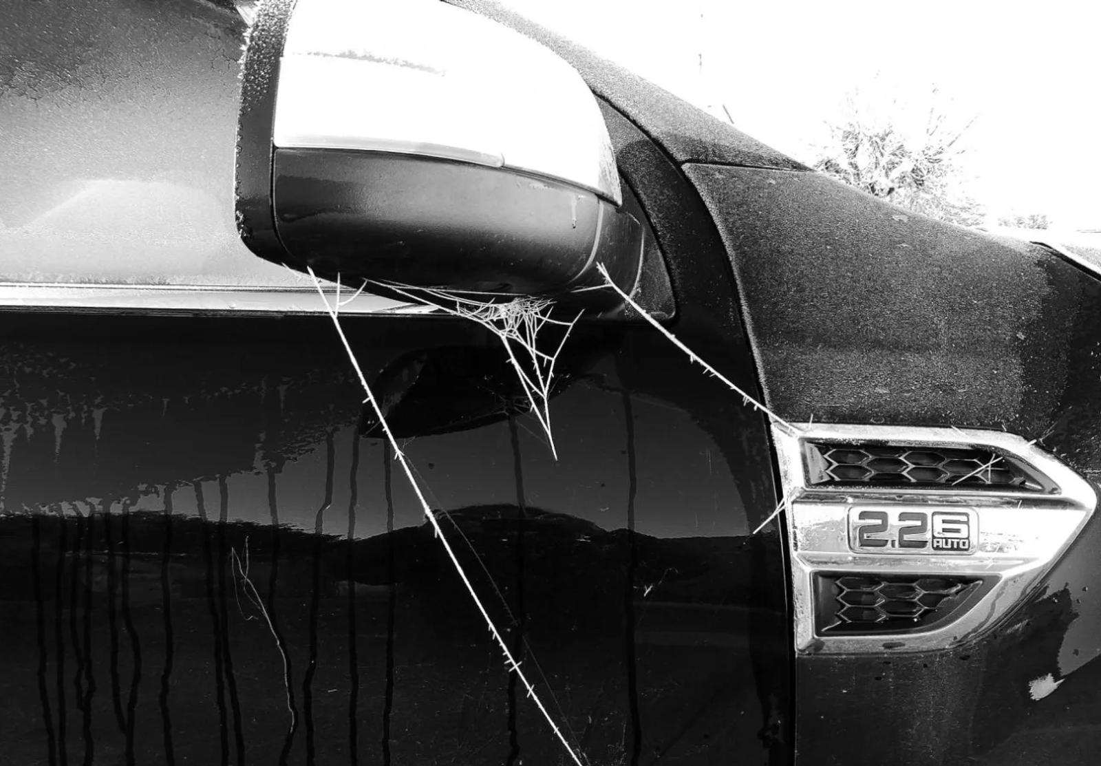 UR03 images projetées monochromes — photographie 8 (GPPR)