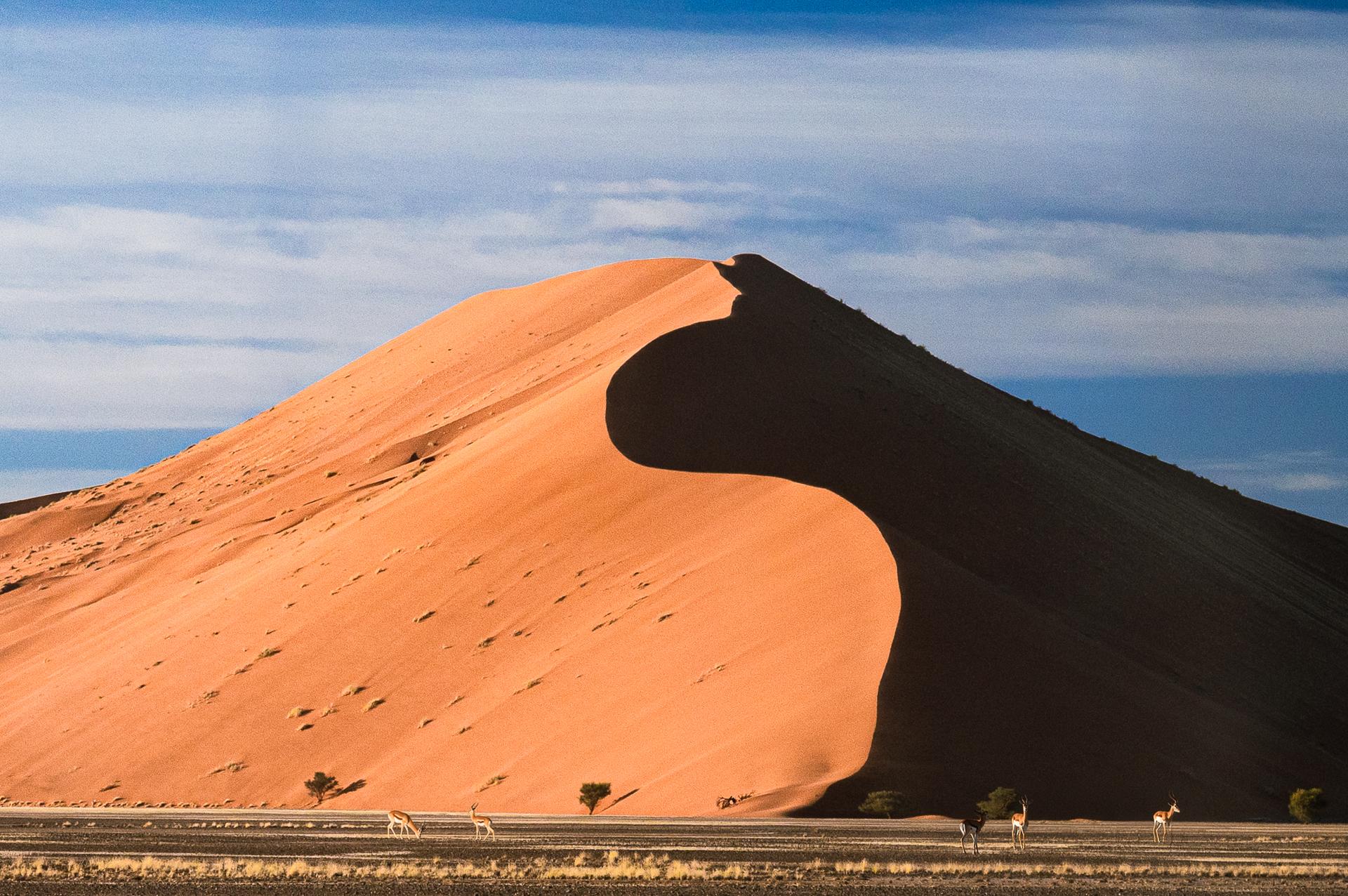 Regards sur la Namibie