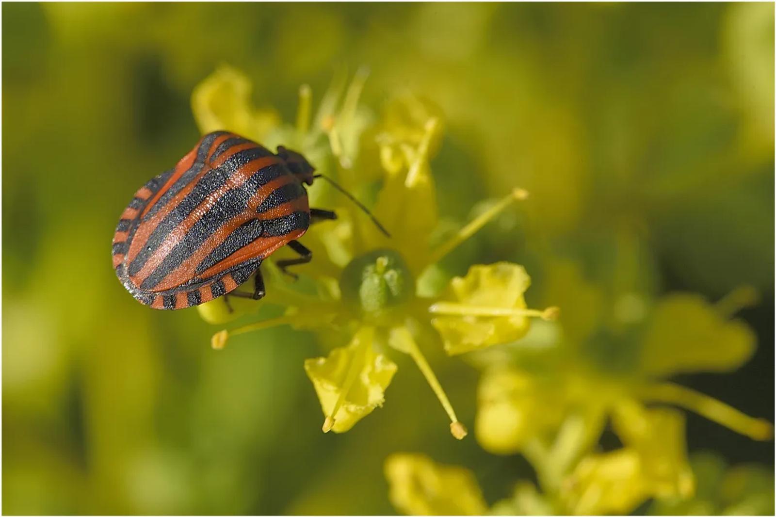 Photographie de Jean-Marie Airault (8)