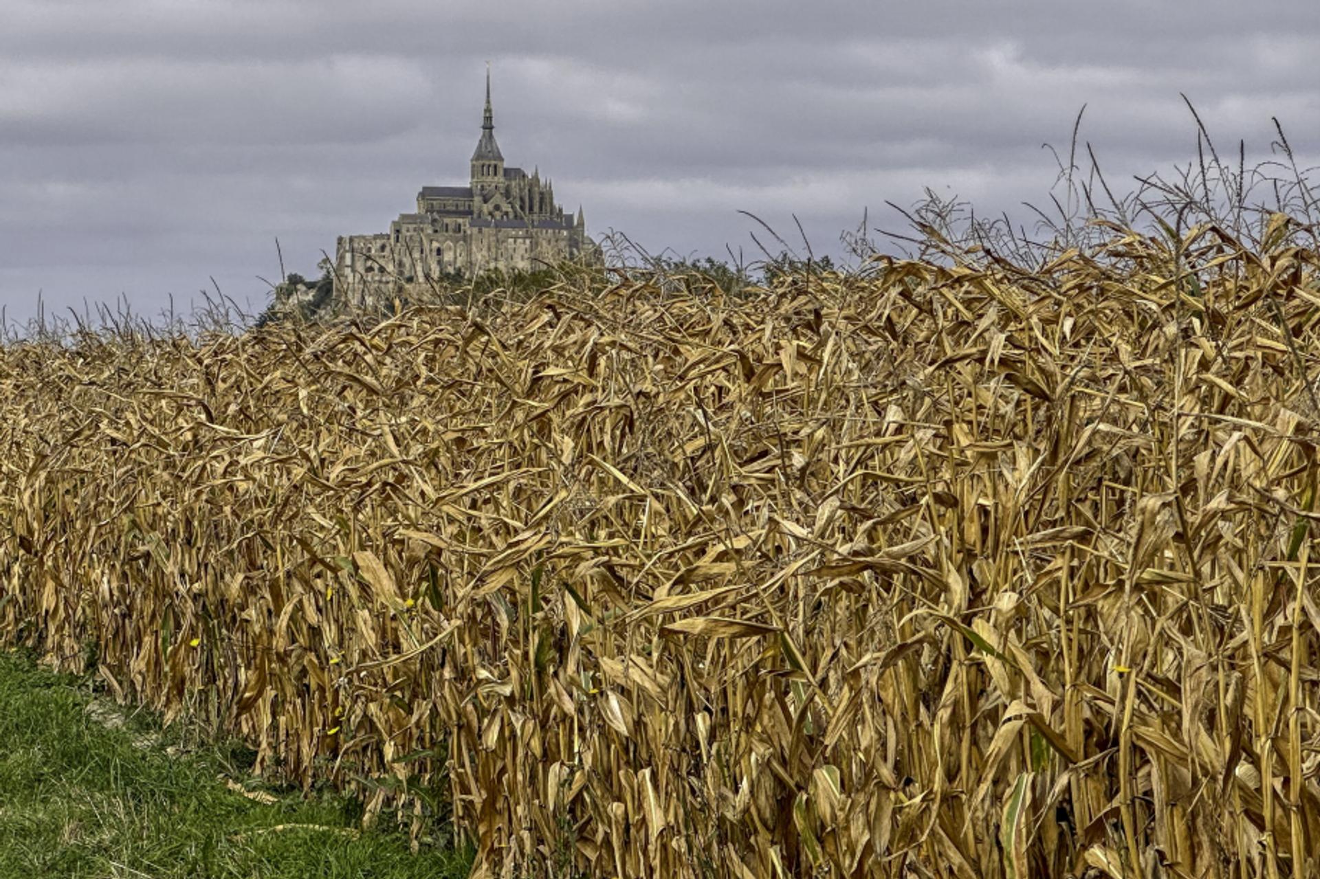 Le Mont (5)