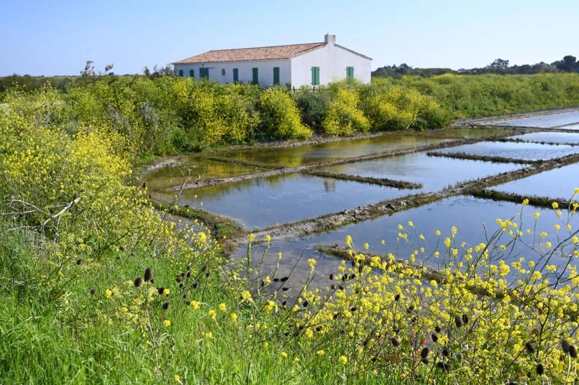 Photographie de Françoise Airault (4)