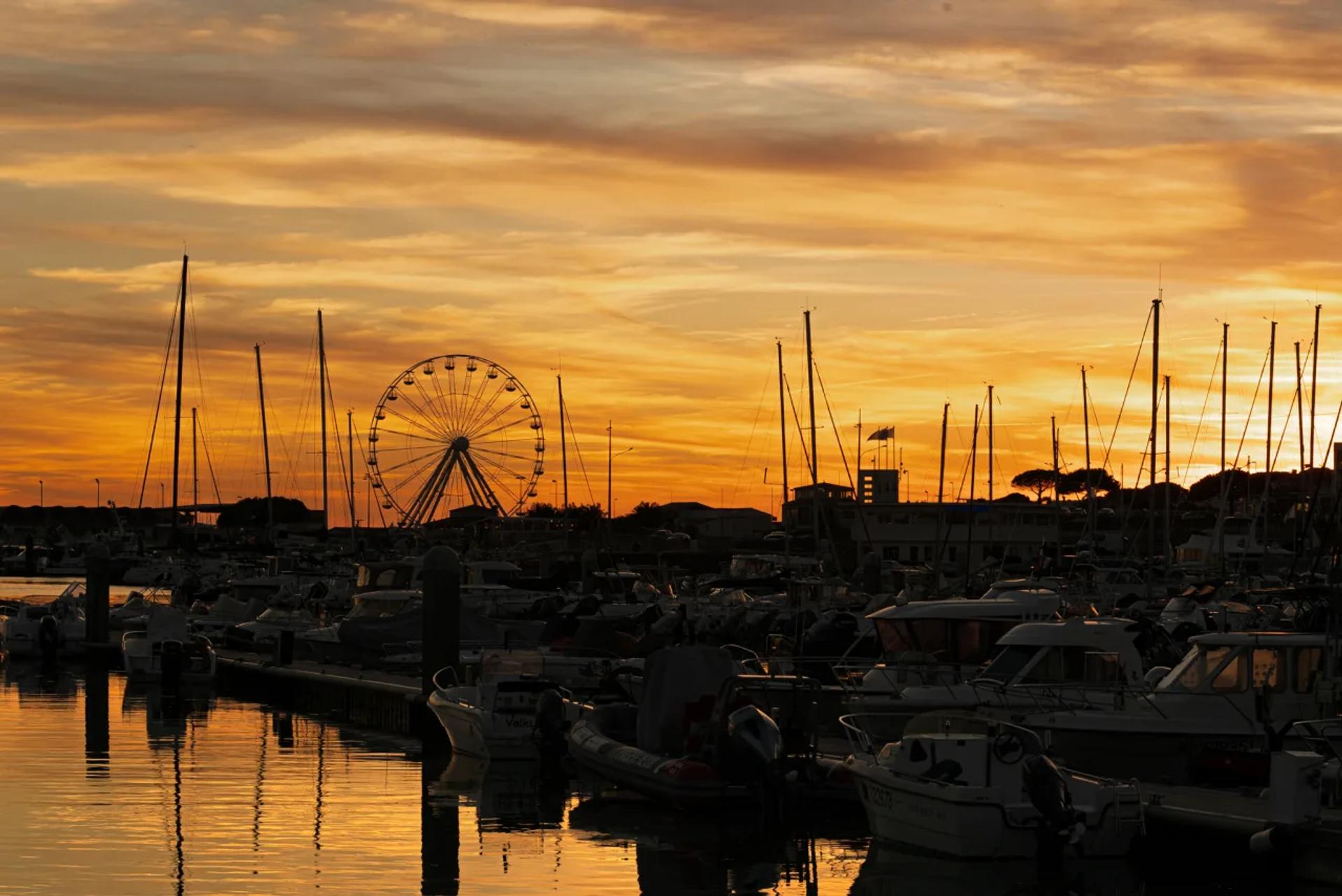 Photographie de Nicole Bureau (4)