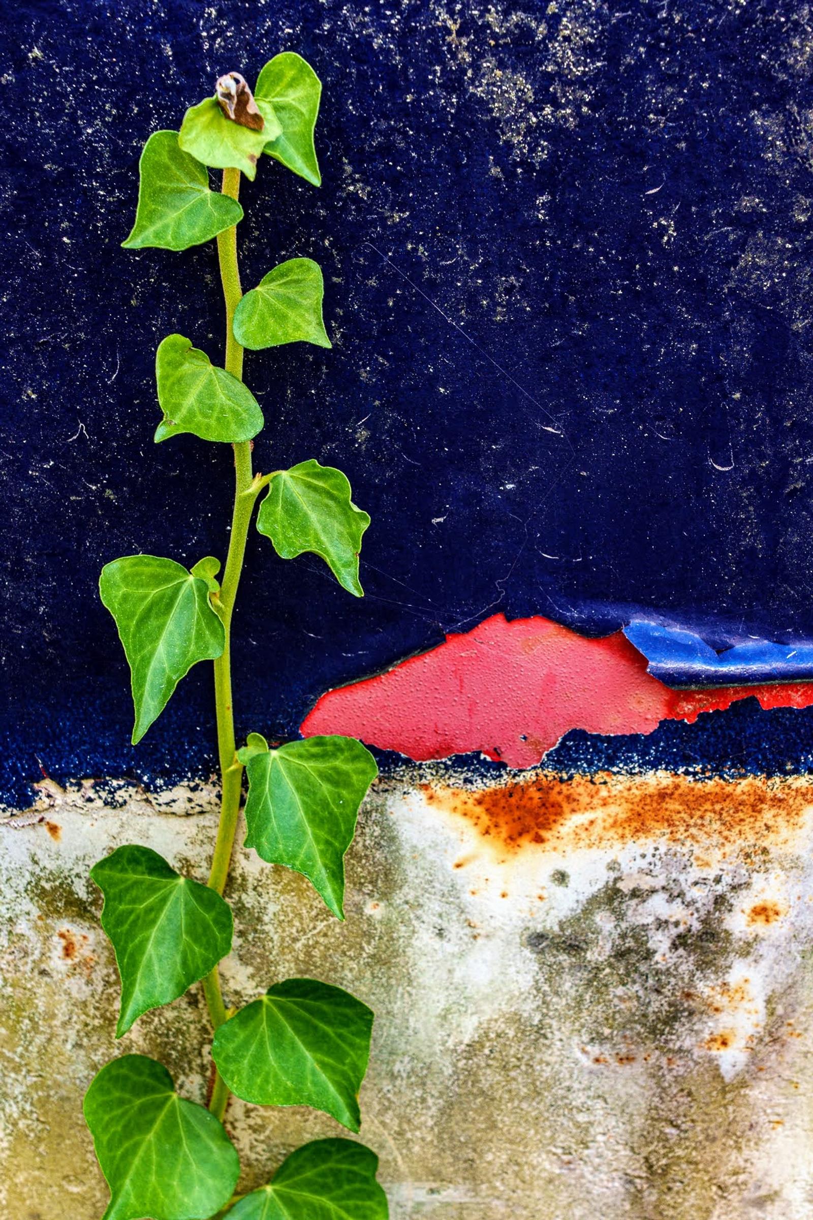 Photographie de Jean-Bernard Augier