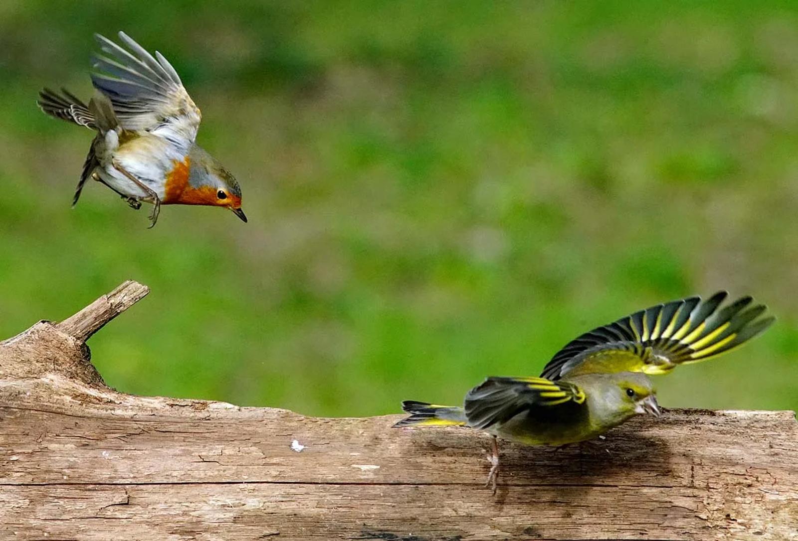Photographie de Jean-Claude Fortor (6)