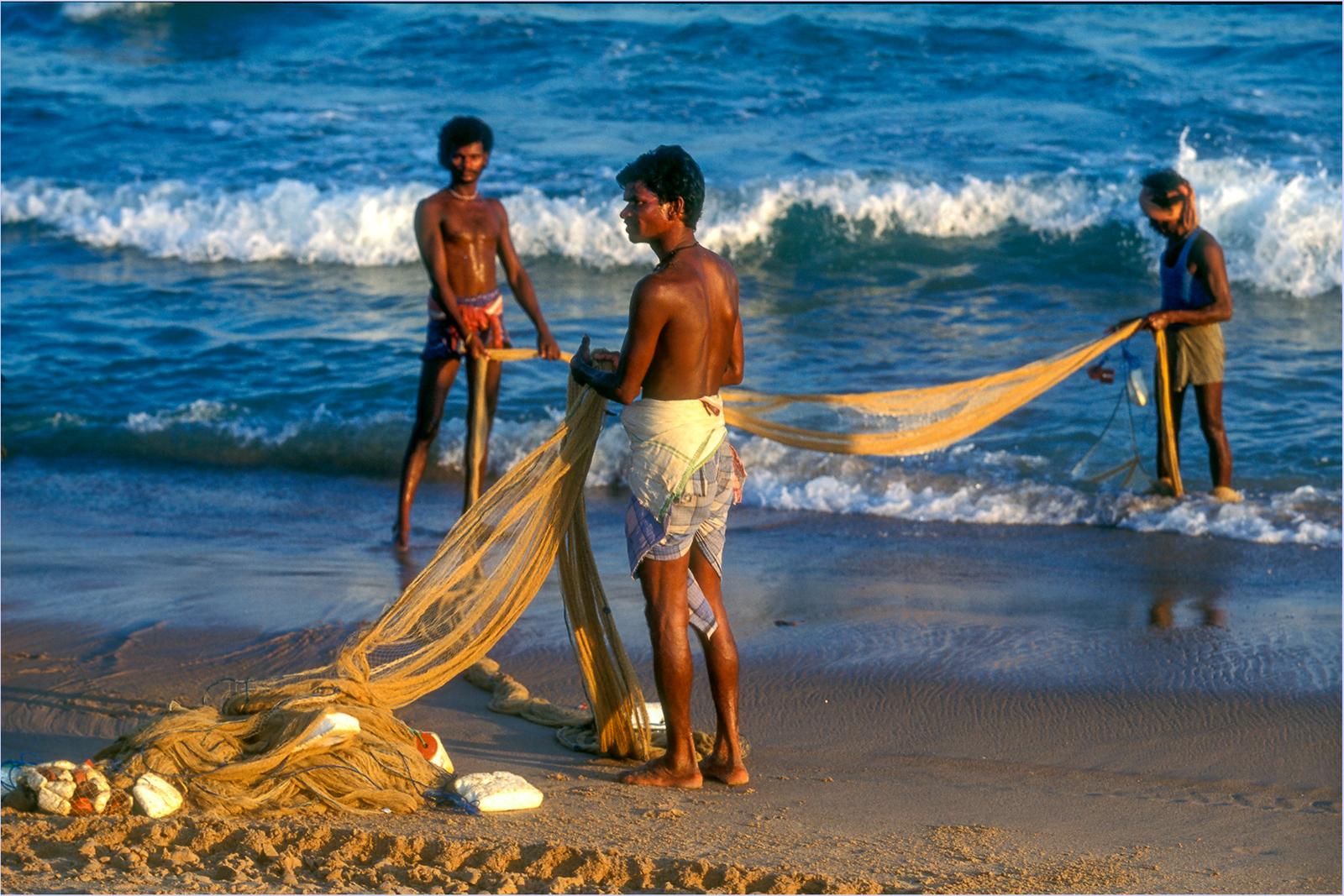 Inde (6)