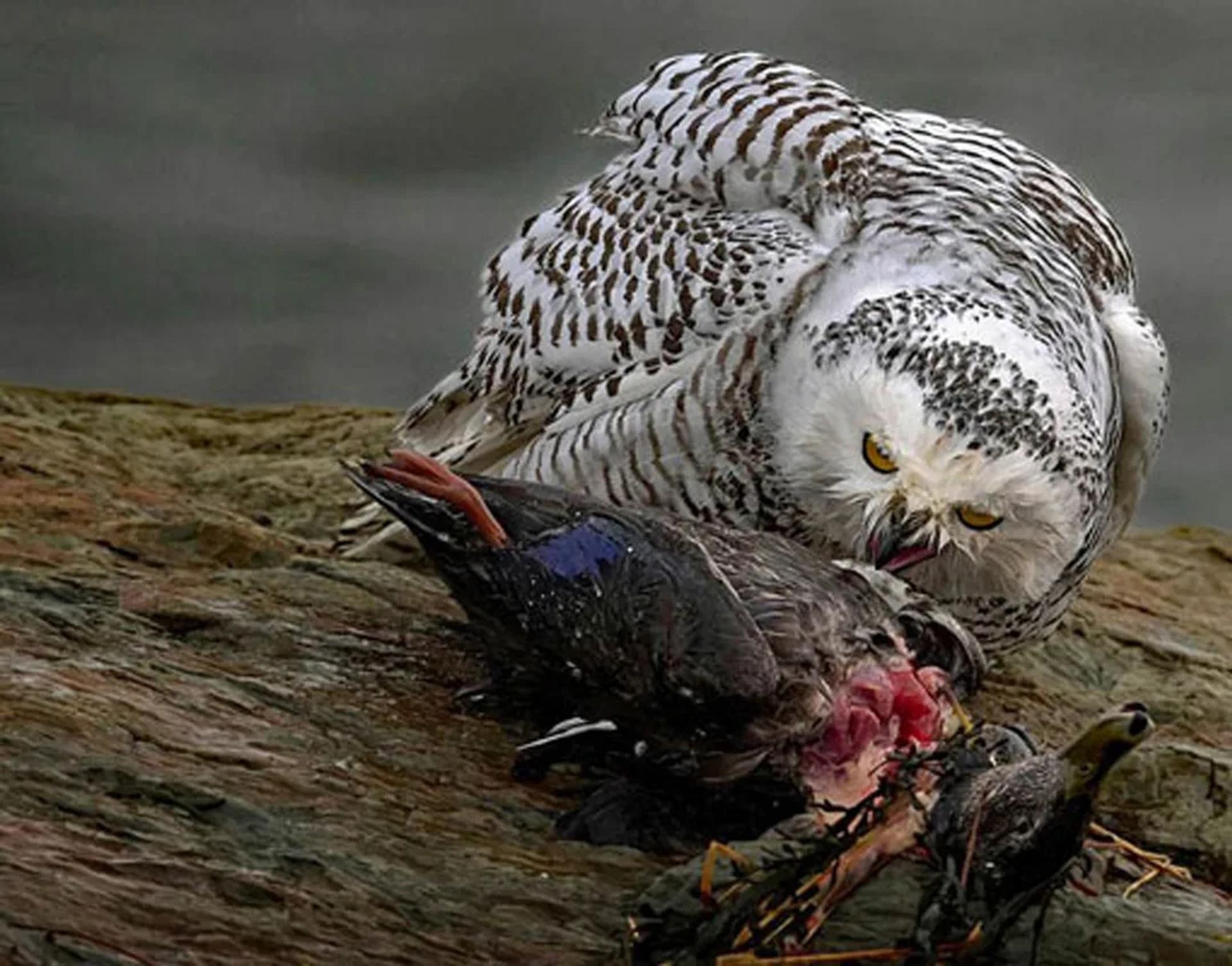 Photographie de Jean-Claude Fortor (5)