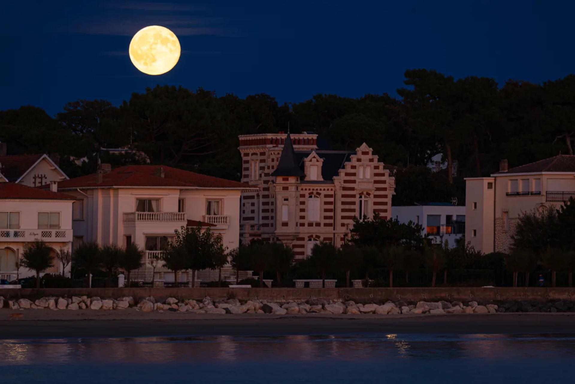 Photographie de Nicole Bureau (7)