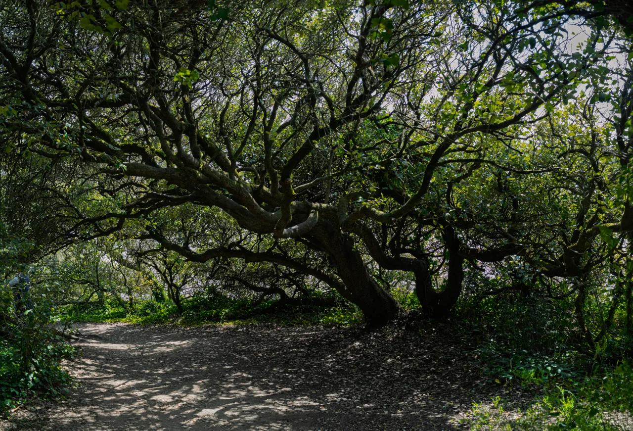 Atelier photo panoramique — photographie 9 (GPPR)
