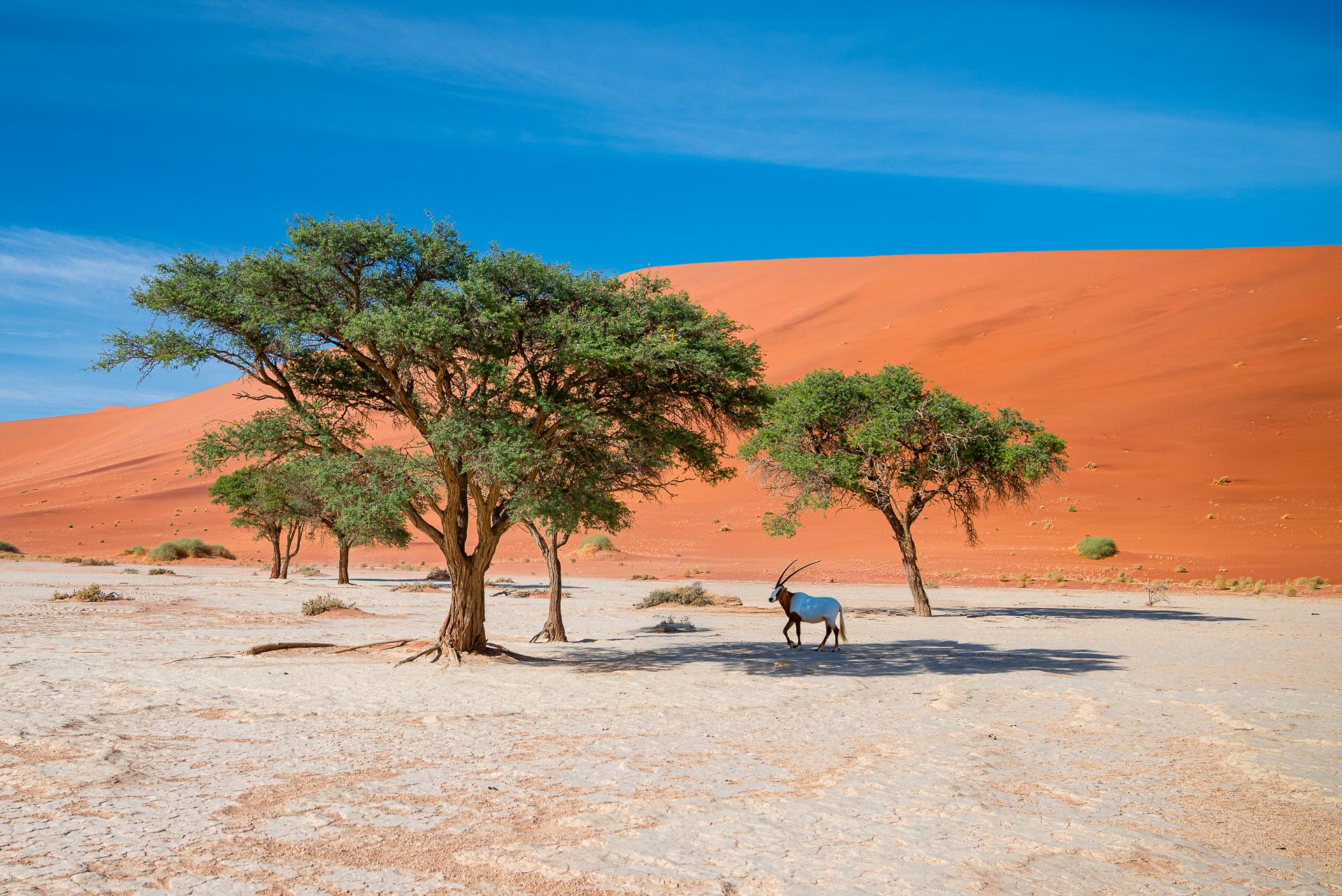 Regards sur la Namibie