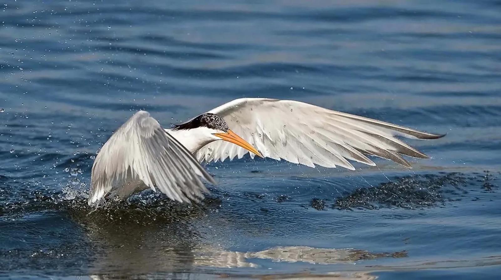 Photographie de Jean-Claude Fortor (5)