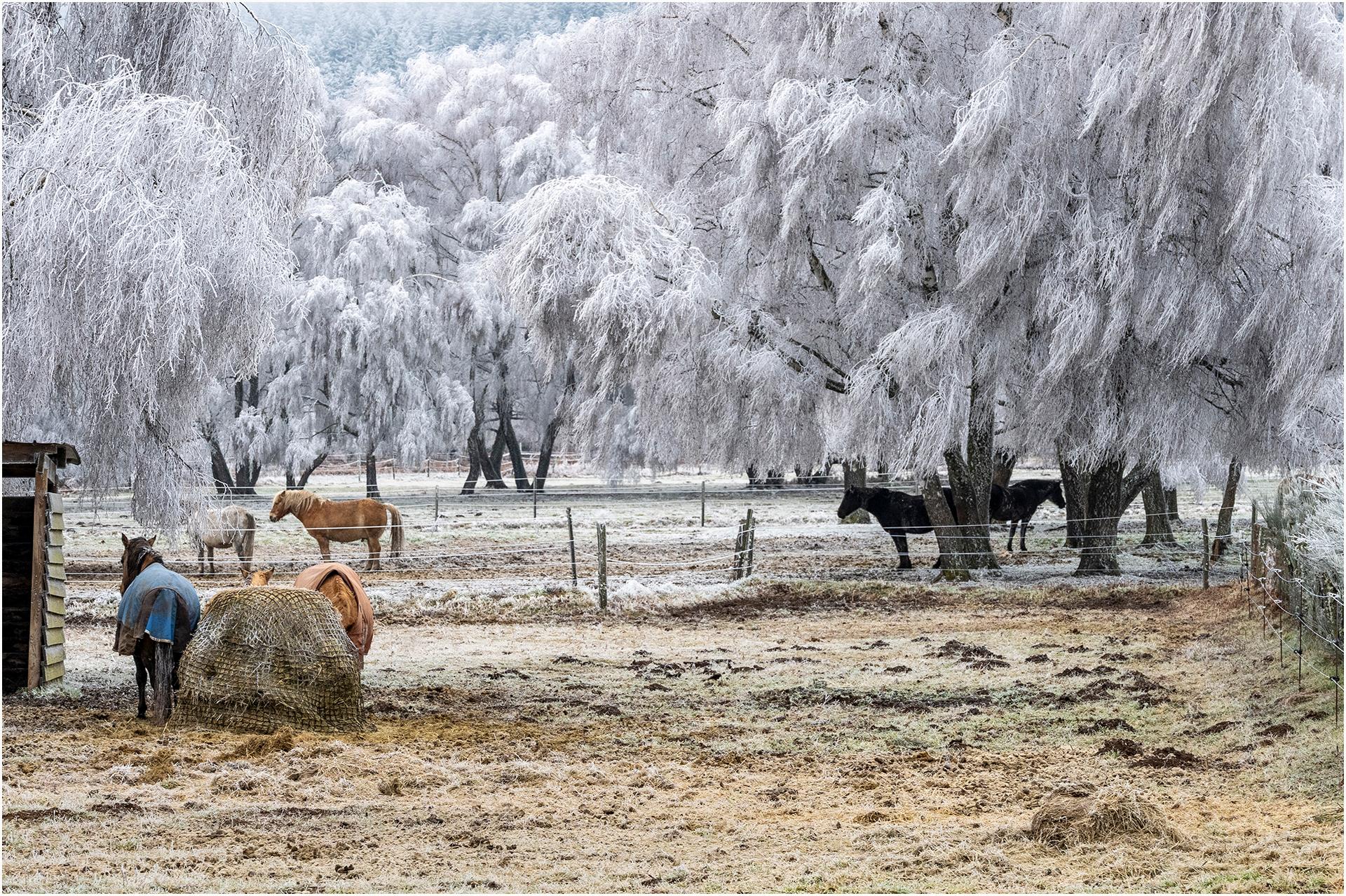 RN D5 GIVRE