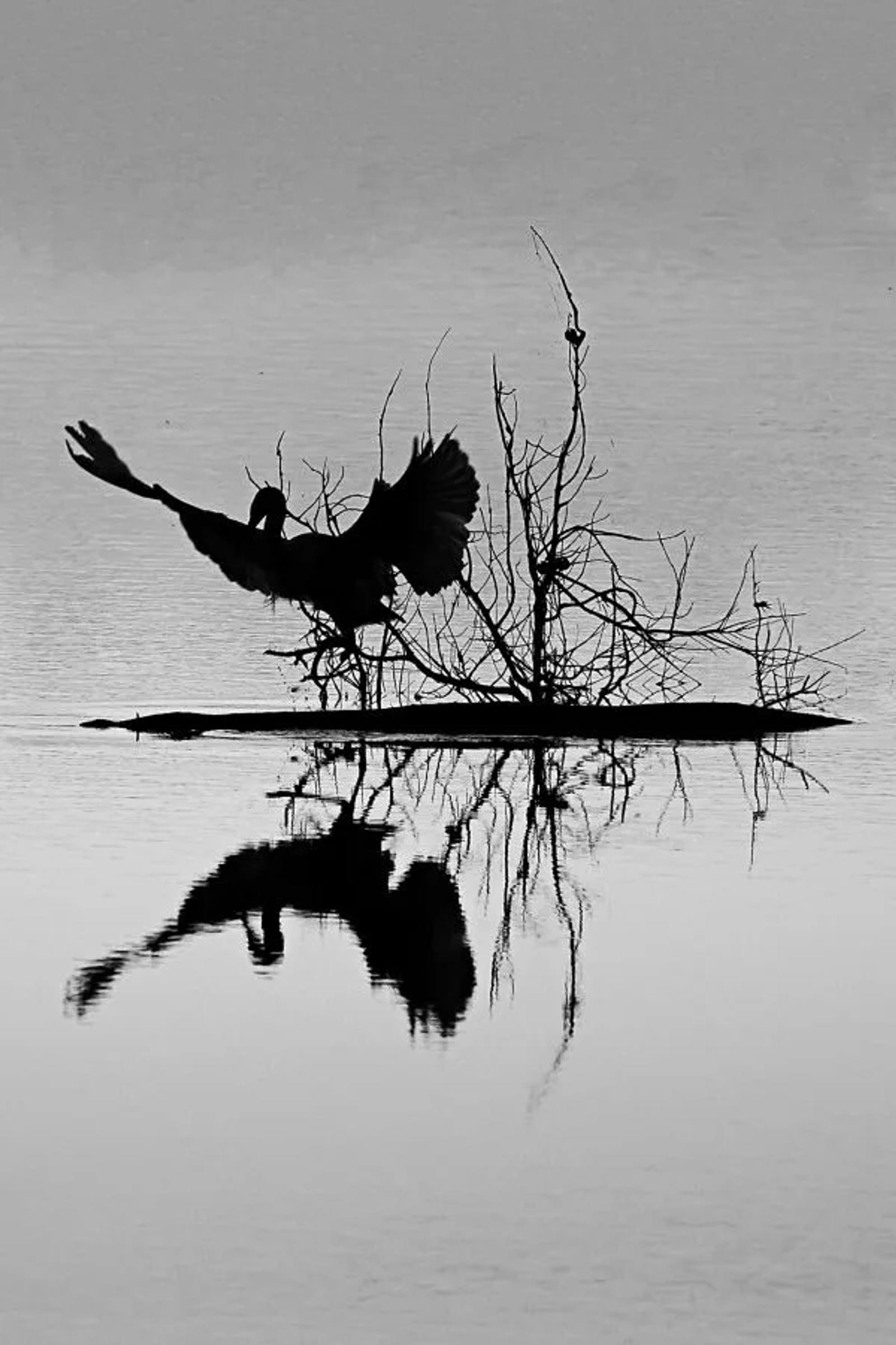 FPF Challenge N°7 à la manière de Michaël Kenna — photographie 3 (GPPR)