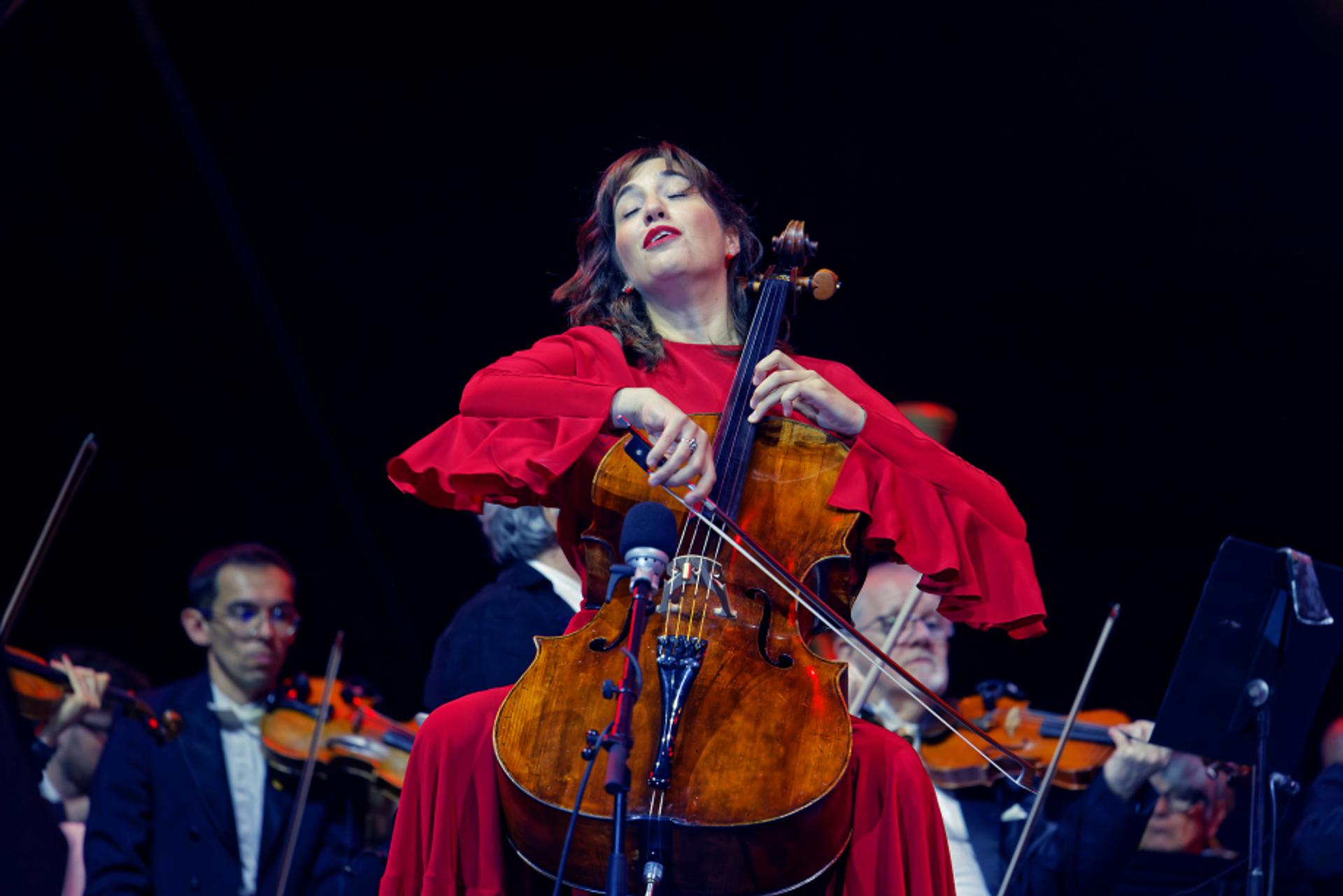 Le Violon sur le Sable 2025 (3)