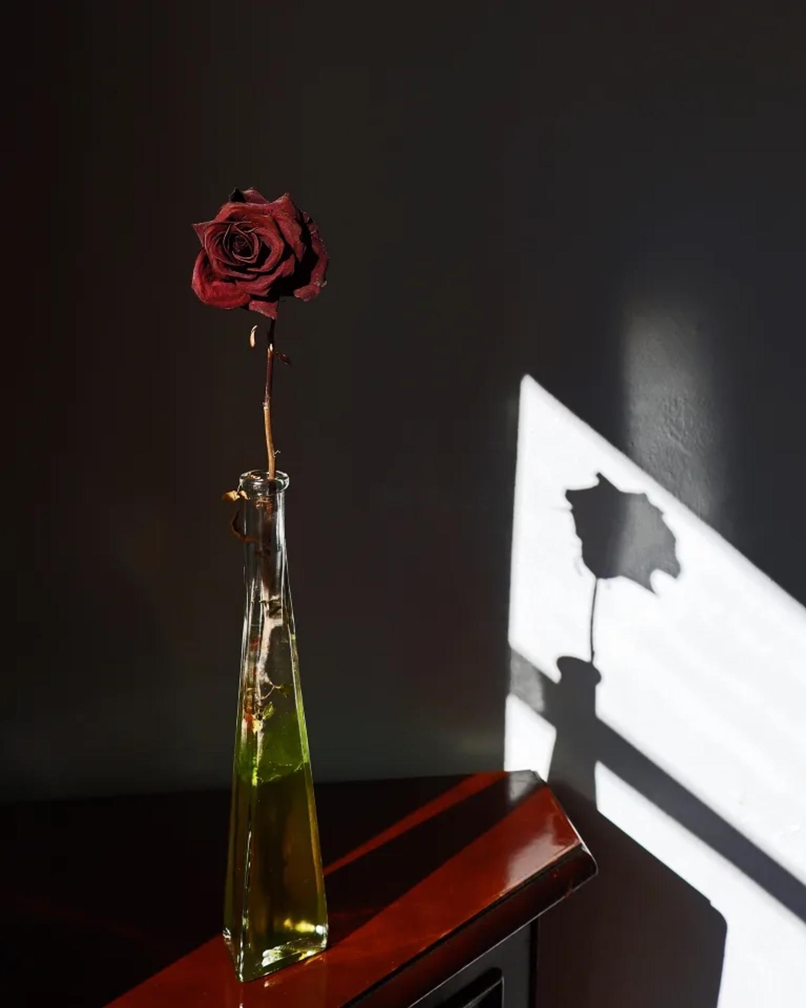 Défi N°4 "Nature morte en lumière naturelle" — photographie 1 (GPPR)