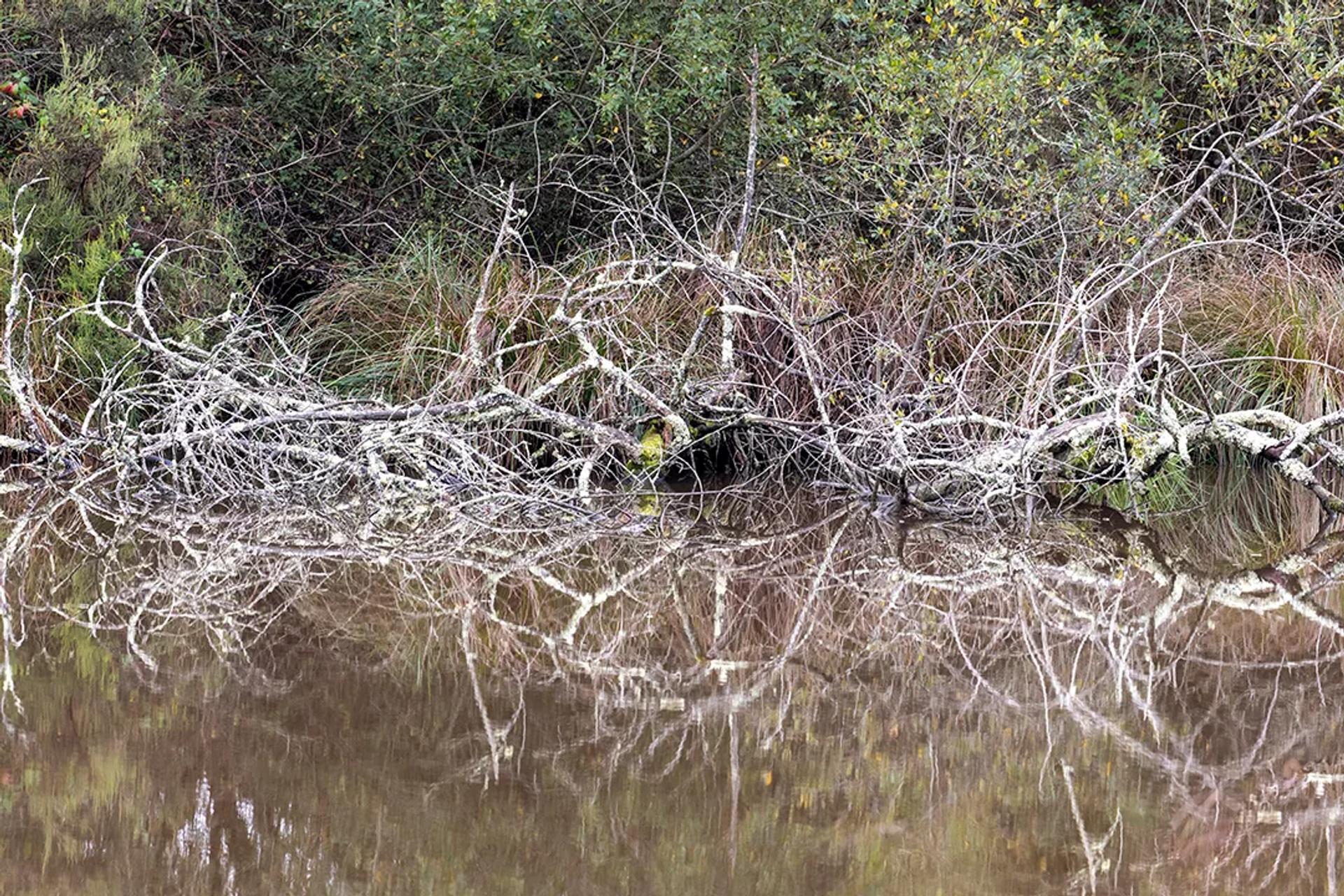 Photographie de Jean-Marie Airault (7)
