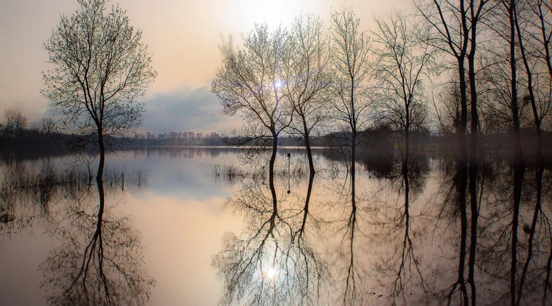 EXPOSITION "Bons baisers de Royan" automne 2025 — photographie 5 (GPPR)