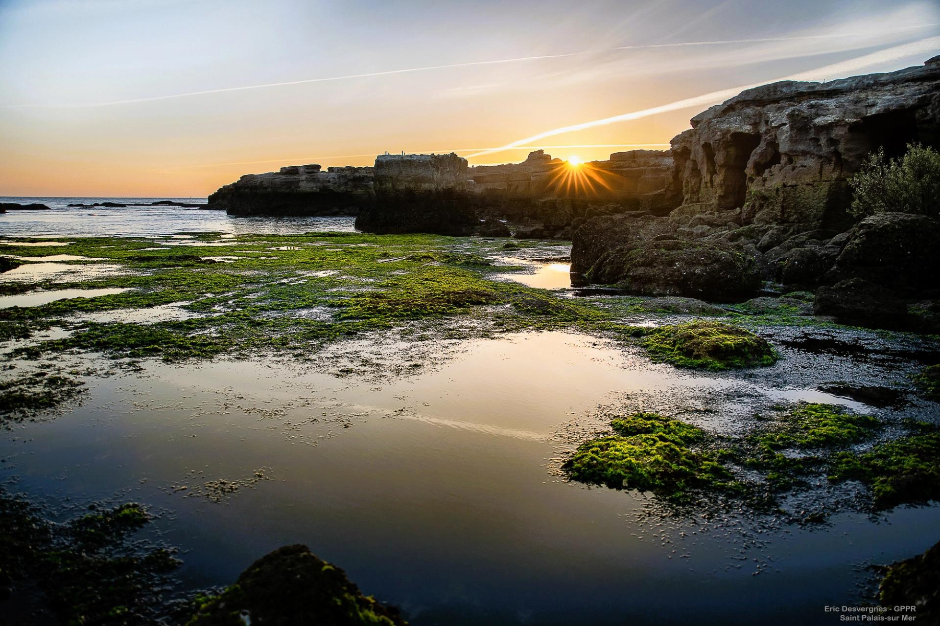 Club de bridge de Royan 